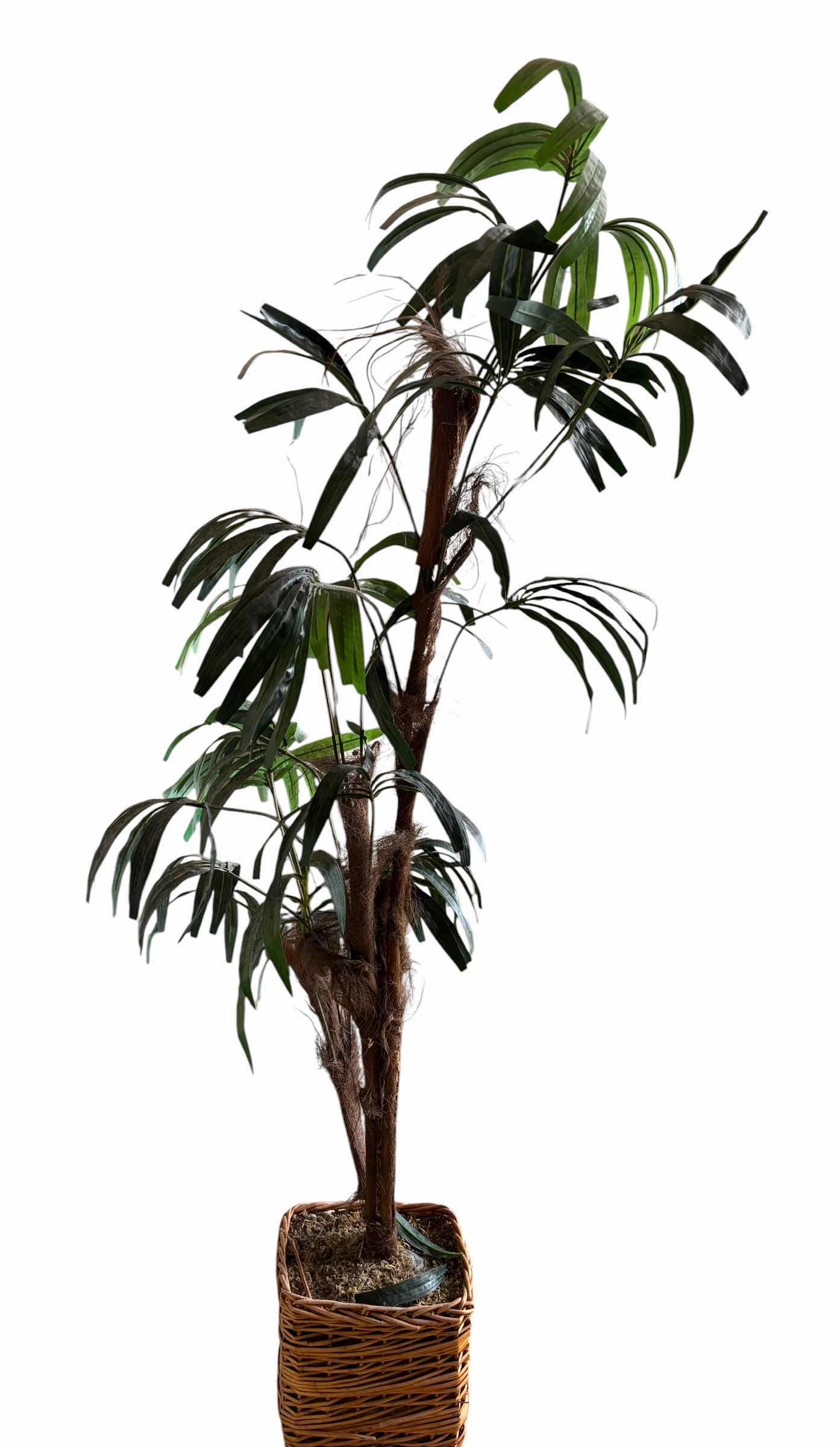 Photo 1 of ARTIFICIAL PALM TREE H68”