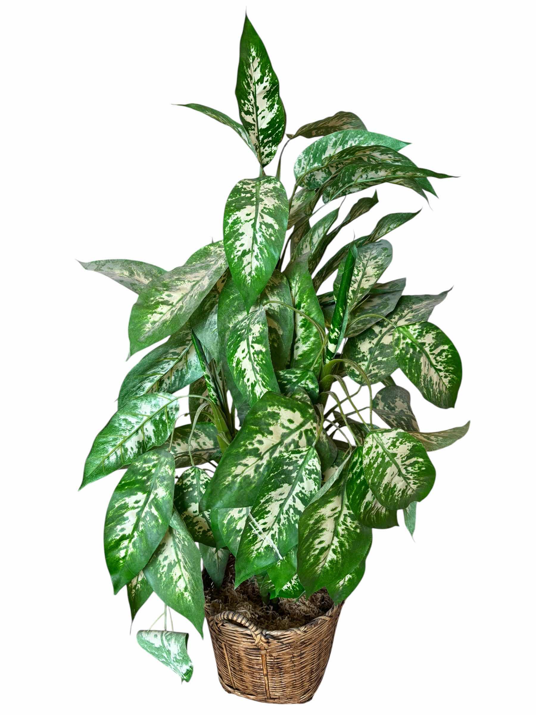 Photo 1 of ARTIFICIAL PLANT IN BASKET H36”