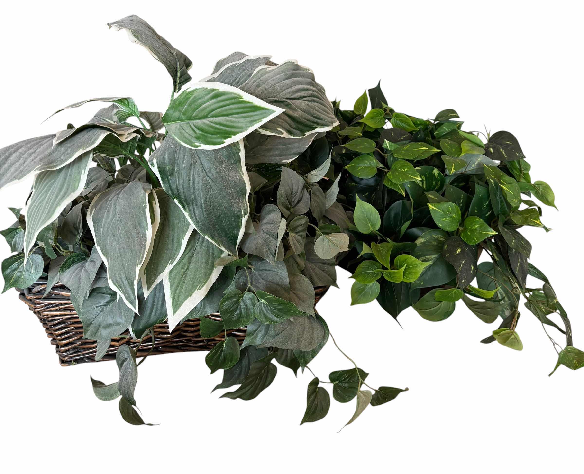 Photo 1 of ARTIFICIAL PLANTS (2), LONGEST 24”L