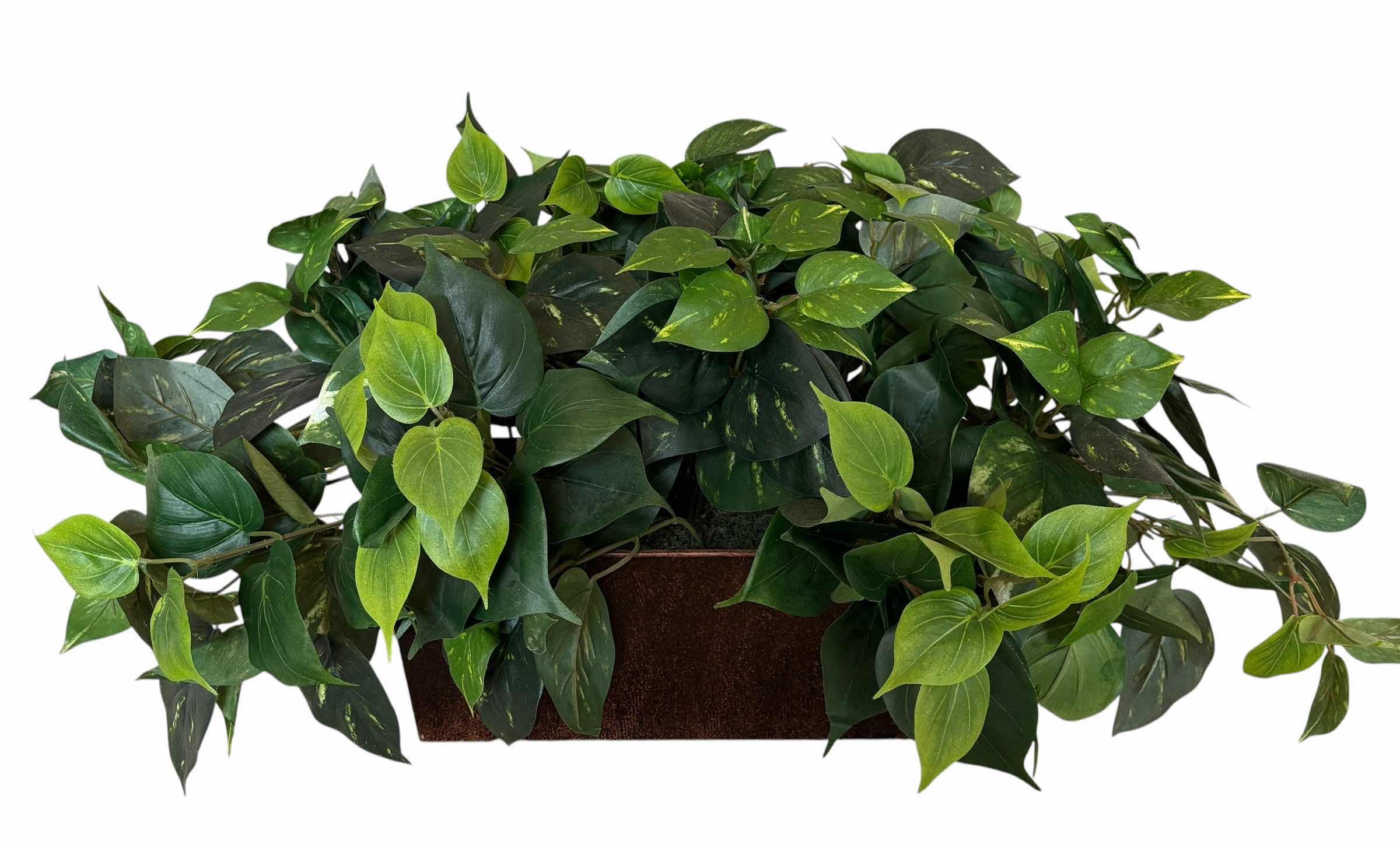 Photo 1 of ARTIFICIAL PLANTS (2), LONGEST 24”L