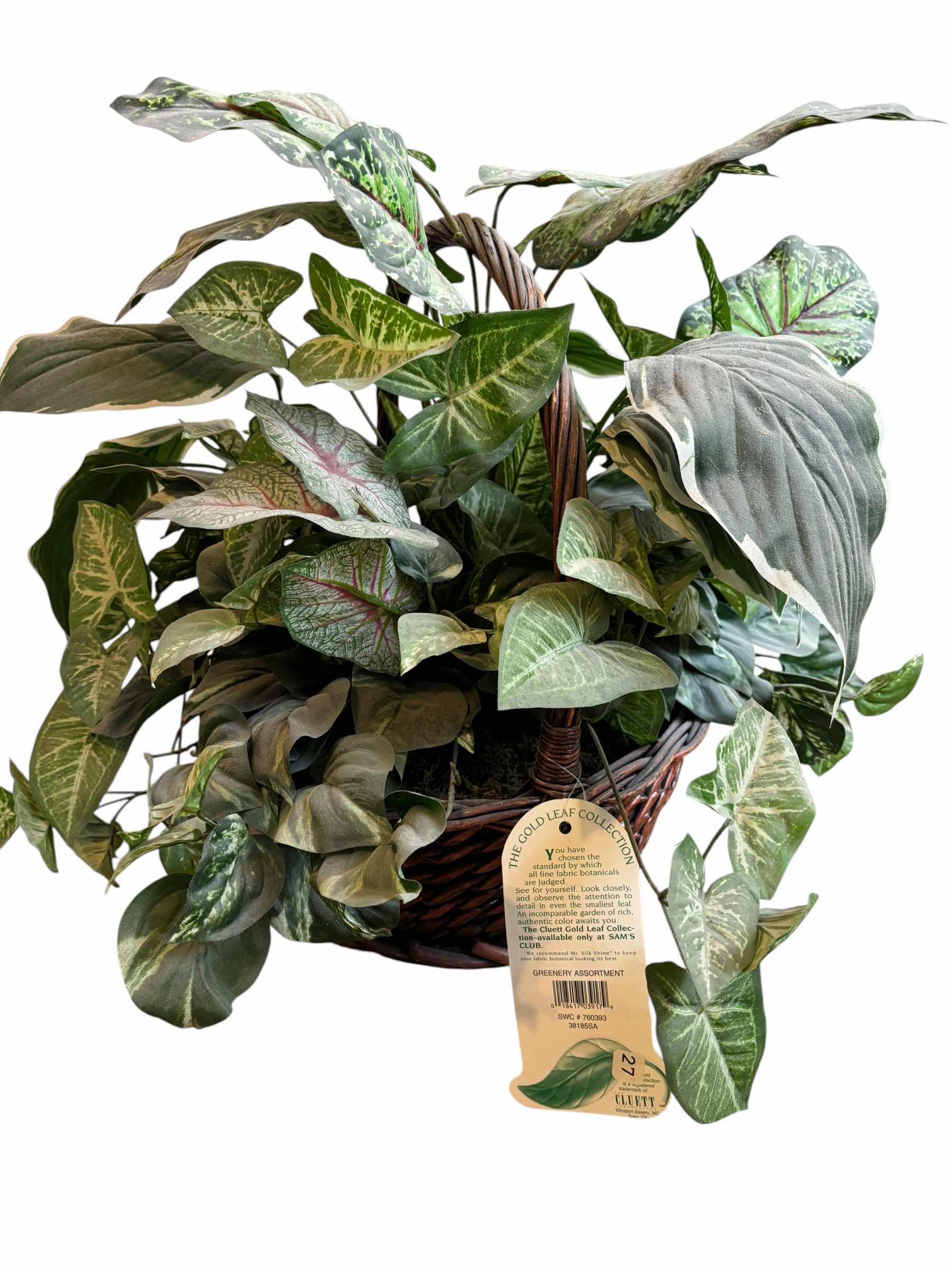 Photo 1 of ARTIFICIAL PLANT IN BASKET WITH ADDITIONAL BASKET