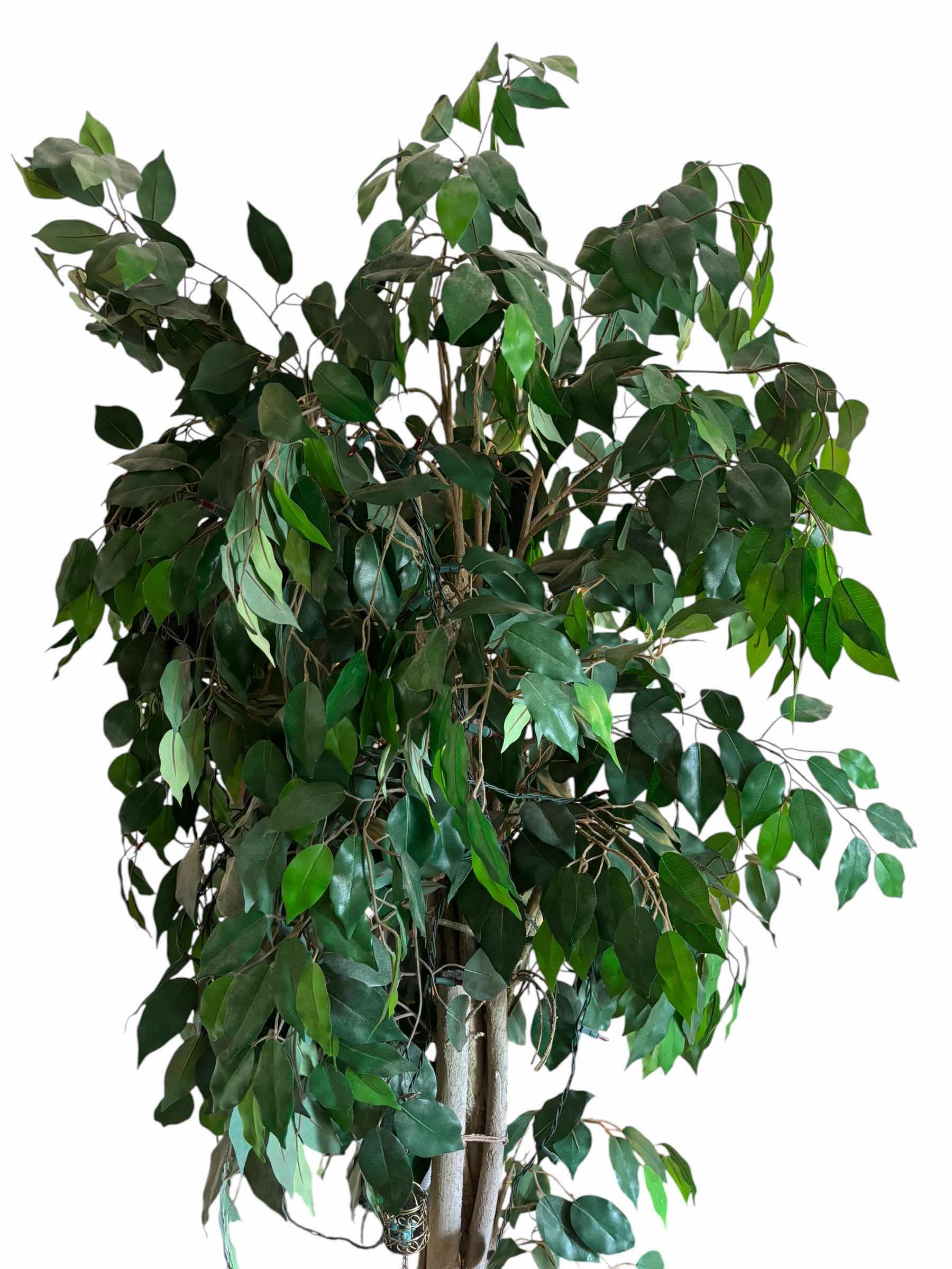 Photo 1 of ARTIFICIAL TREE IN BASKET H78”