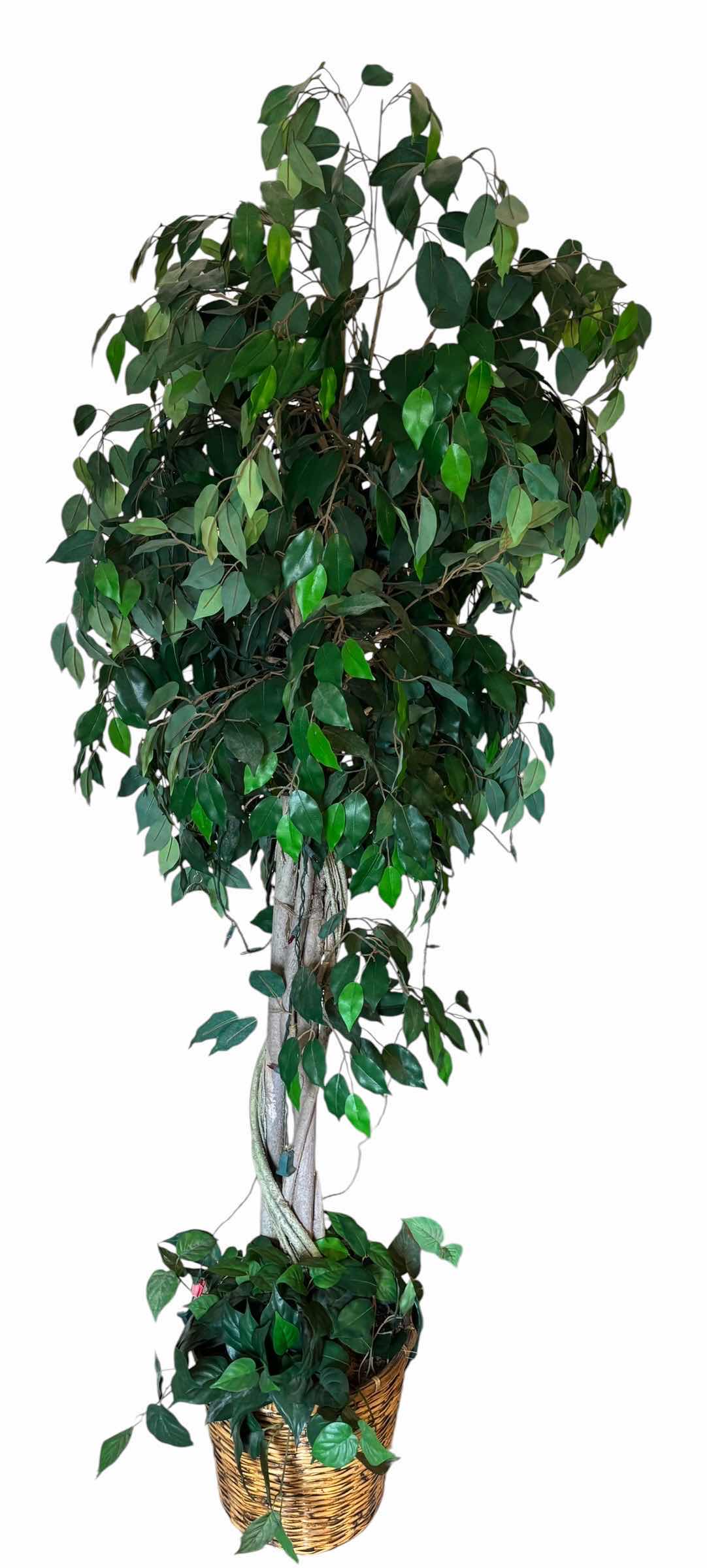 Photo 1 of ARTIFICIAL TREE IN BASKET H78”