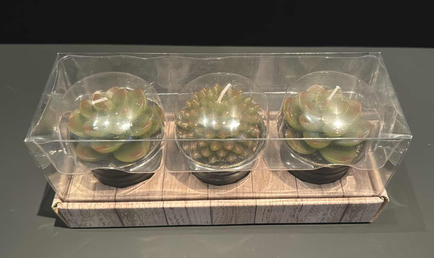 Photo 1 of NIB SUCCULENT CANDLE SET