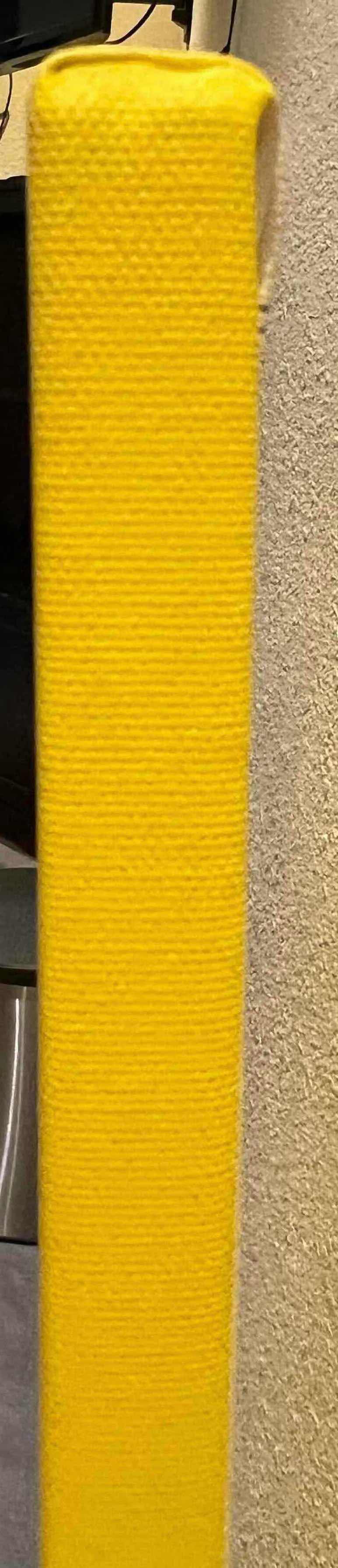 Photo 1 of "SUPER-BOGIE" STRETCHED CANVAS PRINT ARTWORK  BY GERGOIRE "LEON" GUILLEMIN 26” x 40”