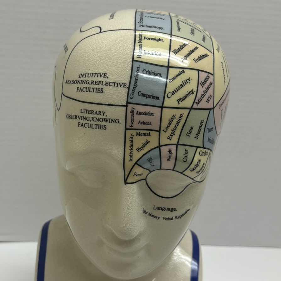 Photo 1 of L.N. FOWLER PHRENOLOGY SCIENTIFIC PSYCHOLOGY 11" CERAMIC BUST