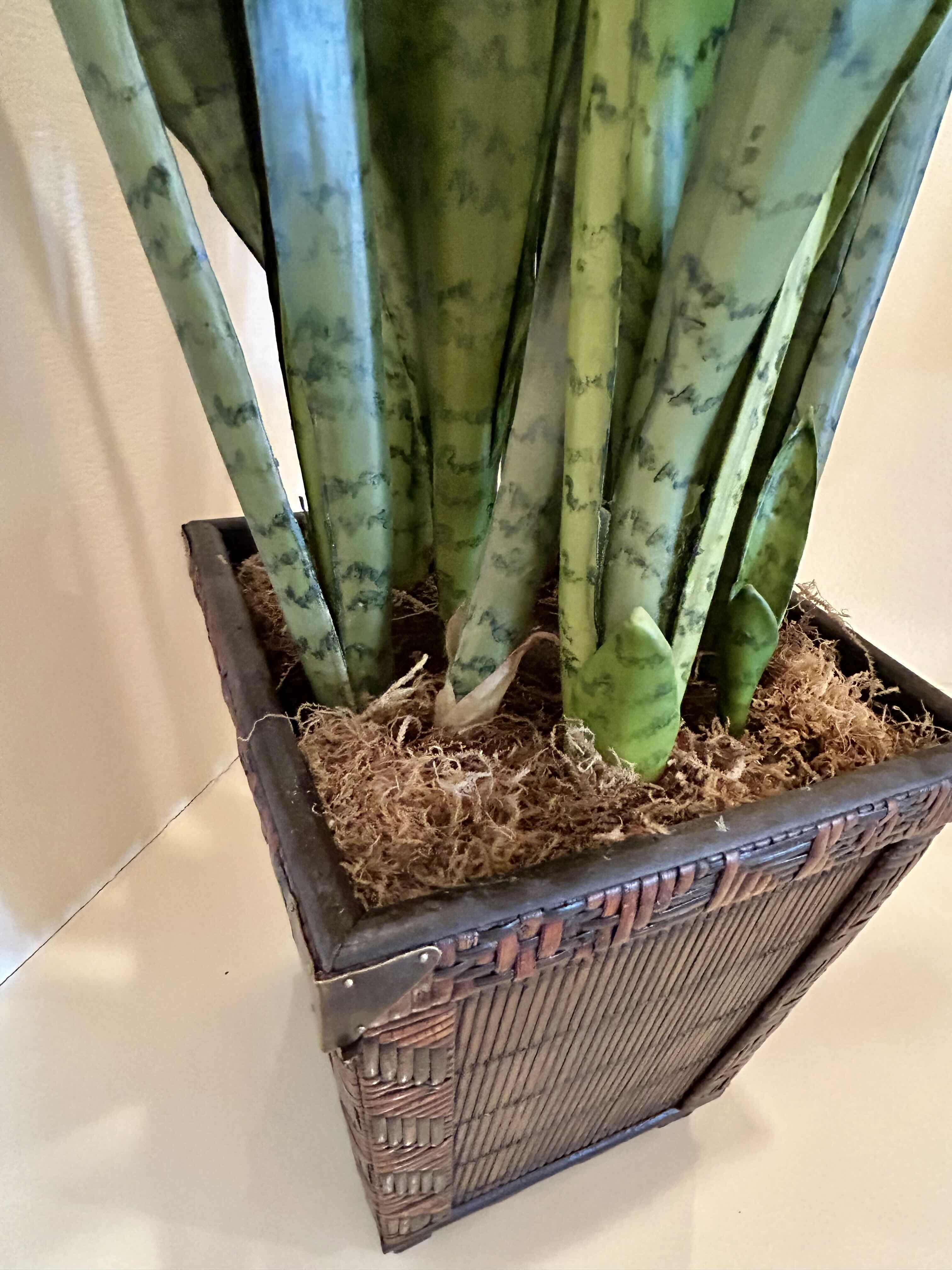Photo 1 of FAUX WICKER POTTED SNAKE PLANT 51”H