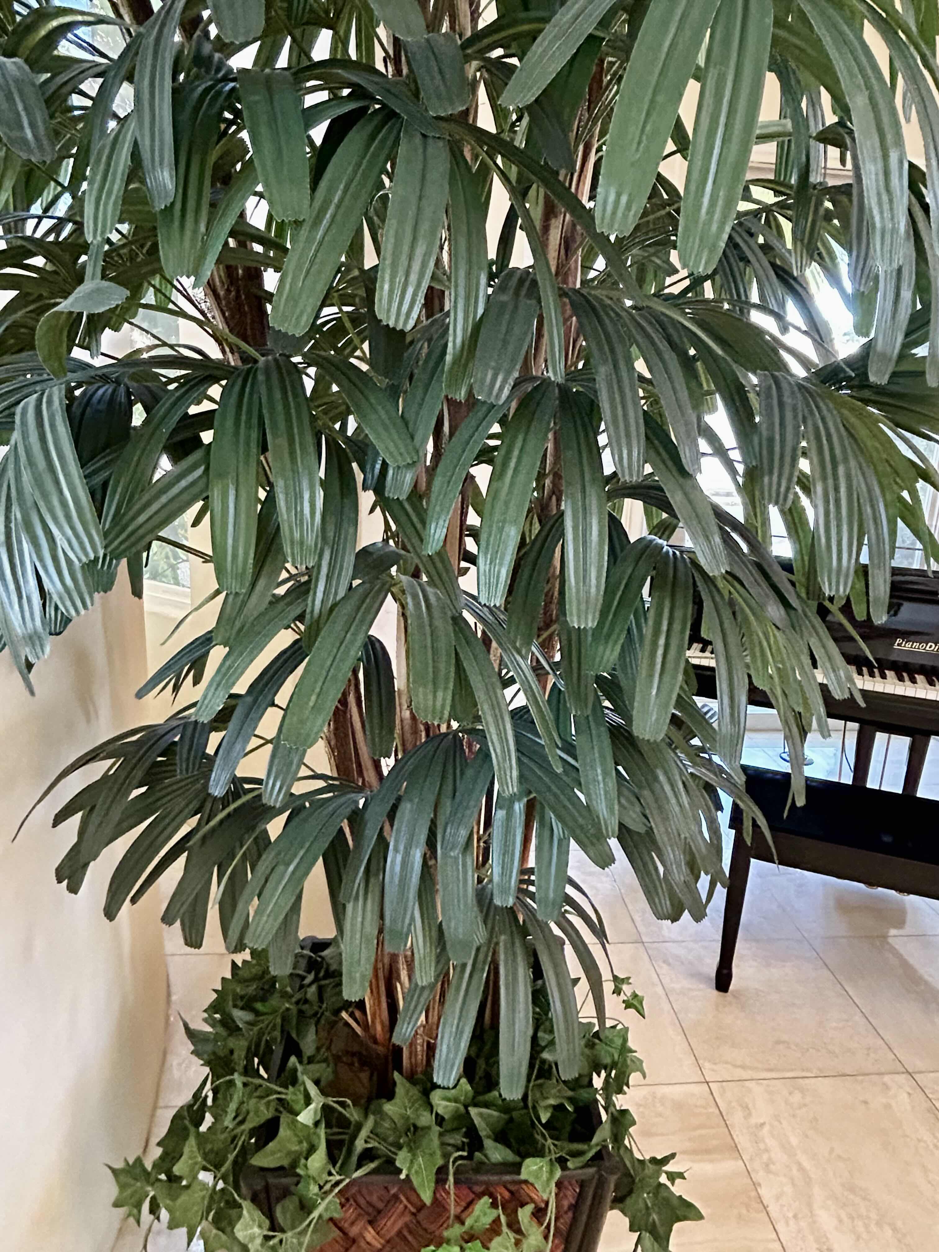 Photo 1 of FAUX LADY PALM OR NEEDLE PALM POTTED IN WOVEN WICKER POT WITH FAUX ENGLISH IVY 
9’H