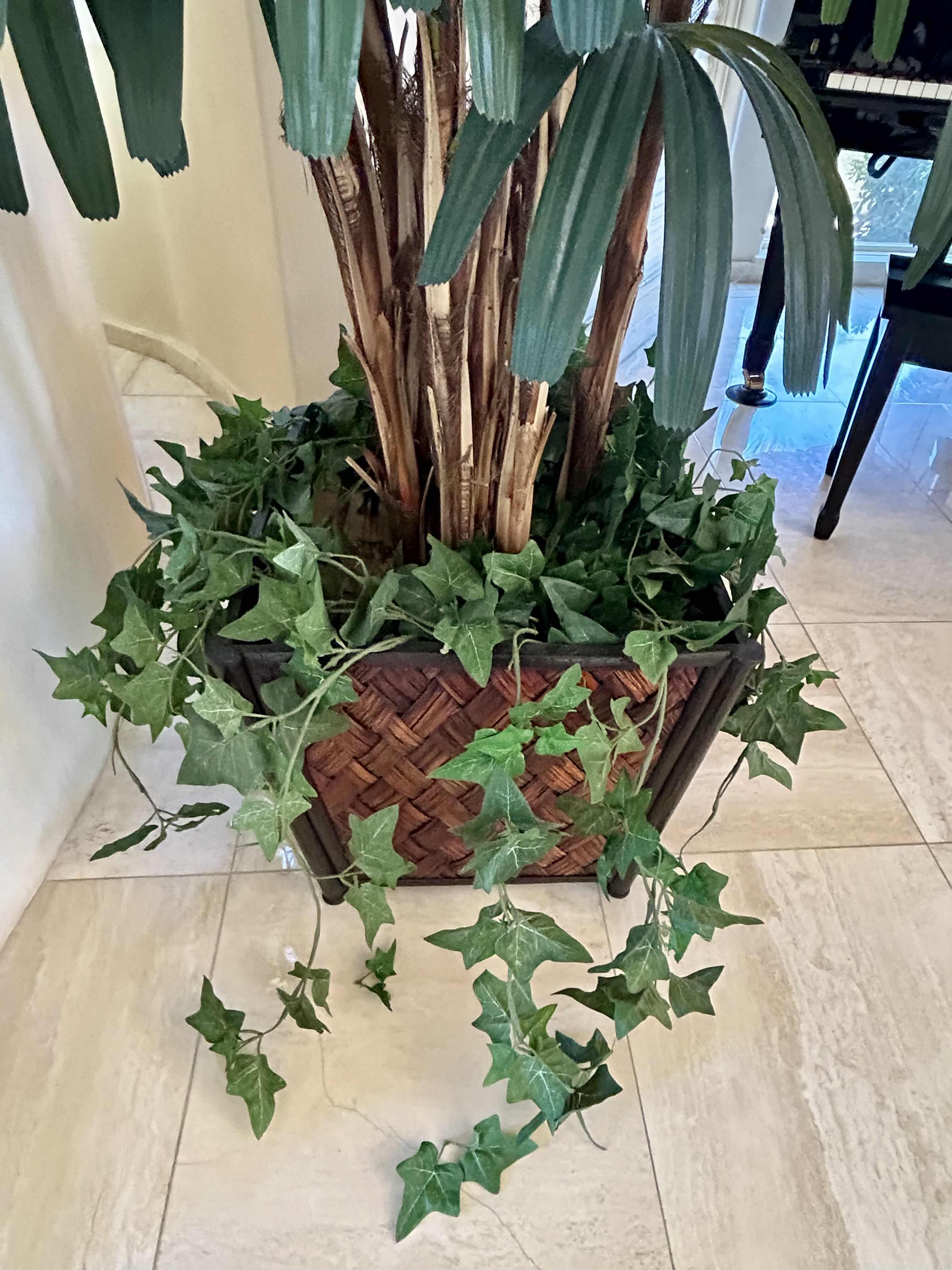 Photo 1 of FAUX LADY PALM OR NEEDLE PALM POTTED IN WOVEN WICKER POT WITH FAUX ENGLISH IVY 
9’H