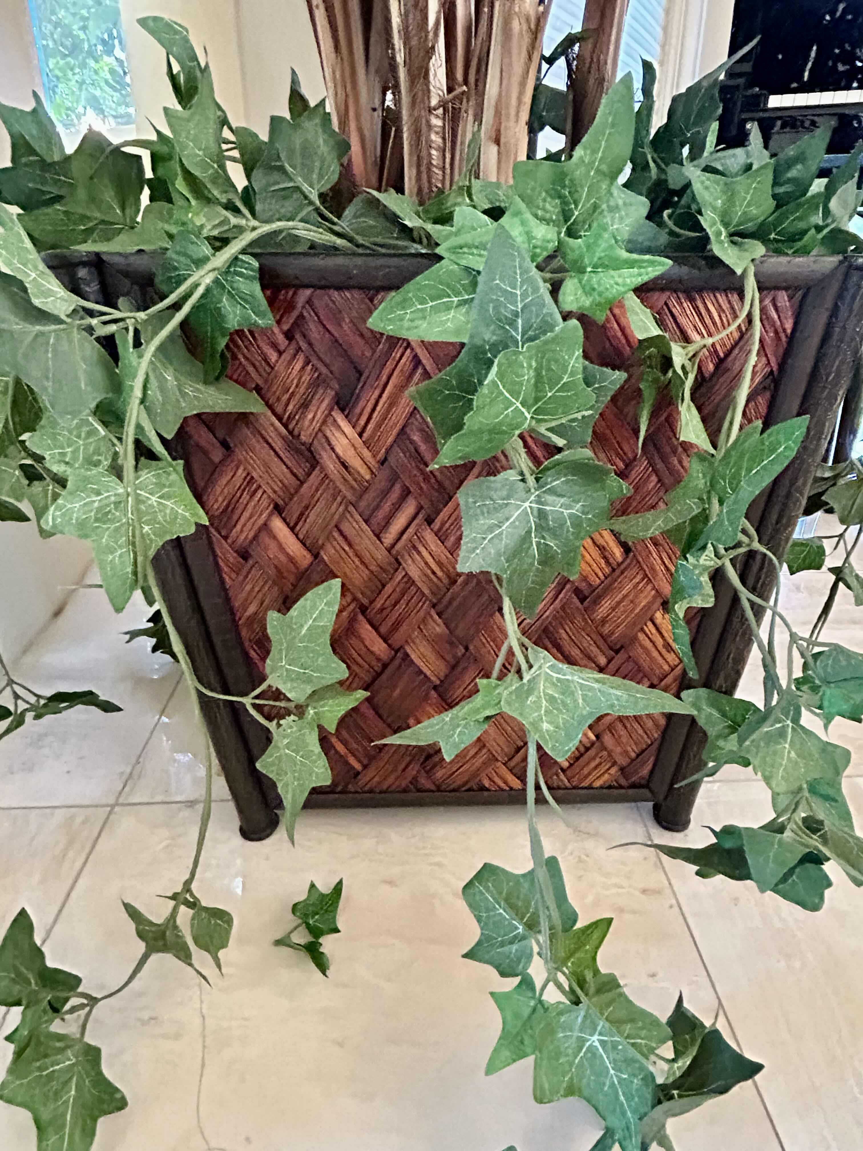 Photo 1 of FAUX LADY PALM OR NEEDLE PALM POTTED IN WOVEN WICKER POT WITH FAUX ENGLISH IVY 
9’H