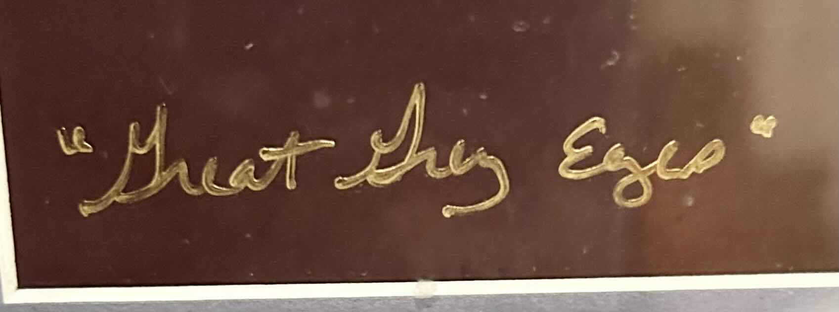 Photo 1 of ARTWORK OWL PICTURE 18” x 22” IN A GRAY/BLACK MARBLE COLORED FRAME