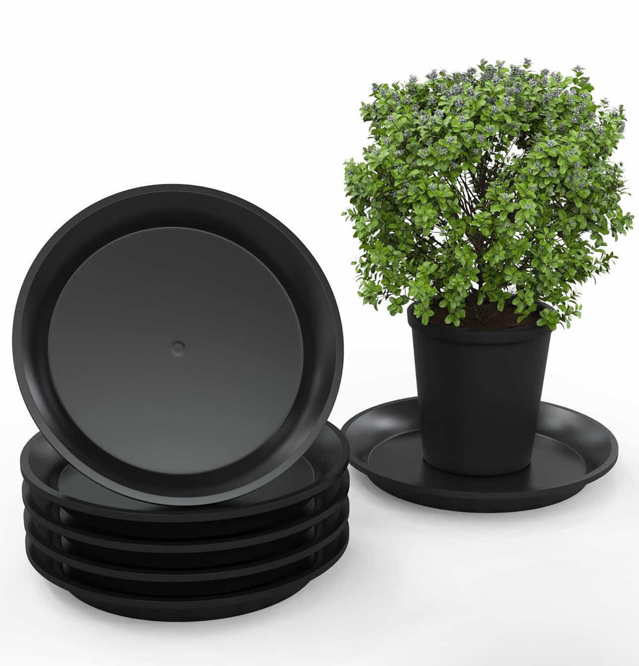 Photo 1 of BRAND NEW CASE OF MEGASPROUT 6 PLANT SAUCER TRAYS 9”