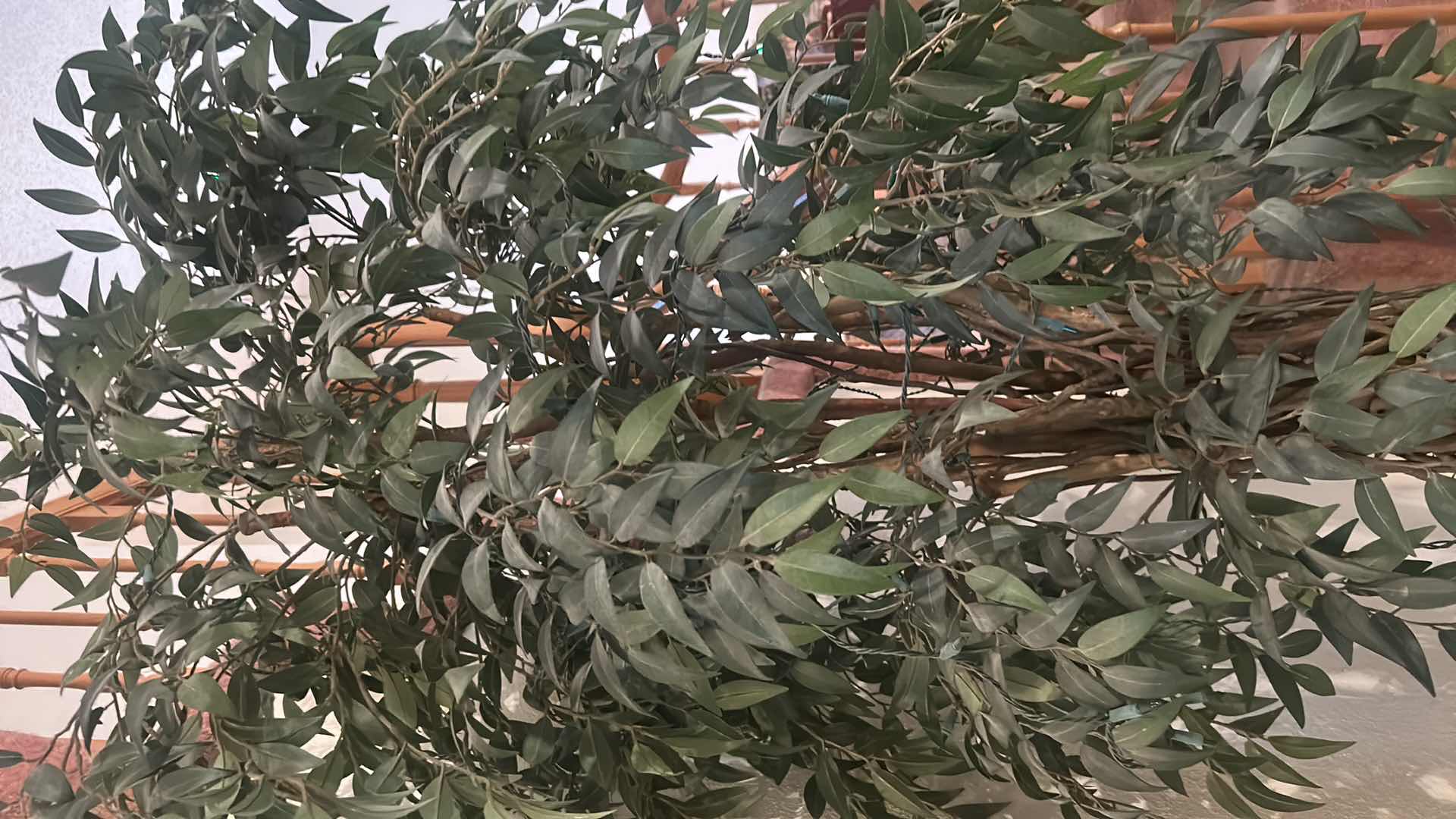 Photo 1 of DECORATIVE ARTIFICIAL FICUS TREE WOVEN LIANA TRUNK IN WICKER PLANTER H 8FT