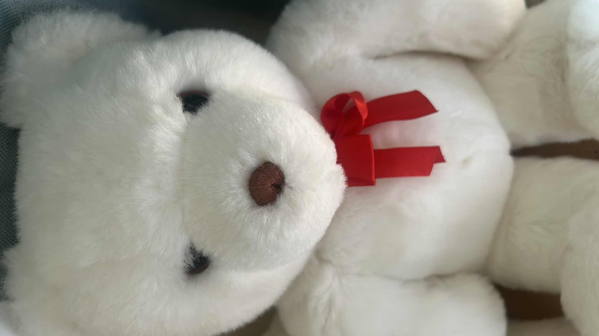 Photo 1 of 2- WHITE PLUSH TEDDY BEARS
H -17"