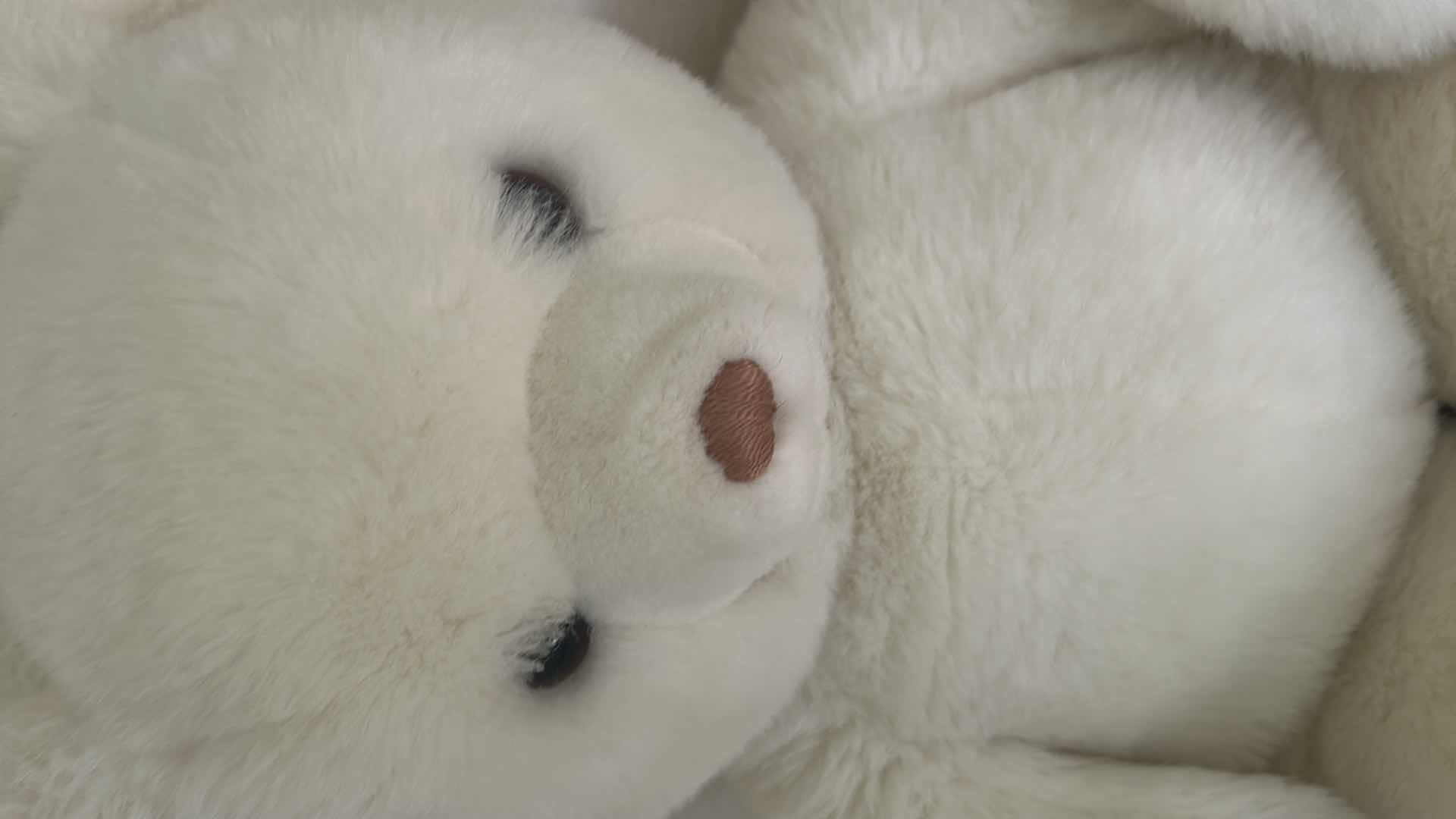 Photo 1 of 2- WHITE PLUSH TEDDY BEARS
H -17"