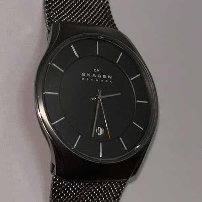 Photo 1 of SKAGEN DENMARK MENS GRAY MESH STRAPS ANALOG DIAL QUARTZ GENUINE WATCH (SKW6140)