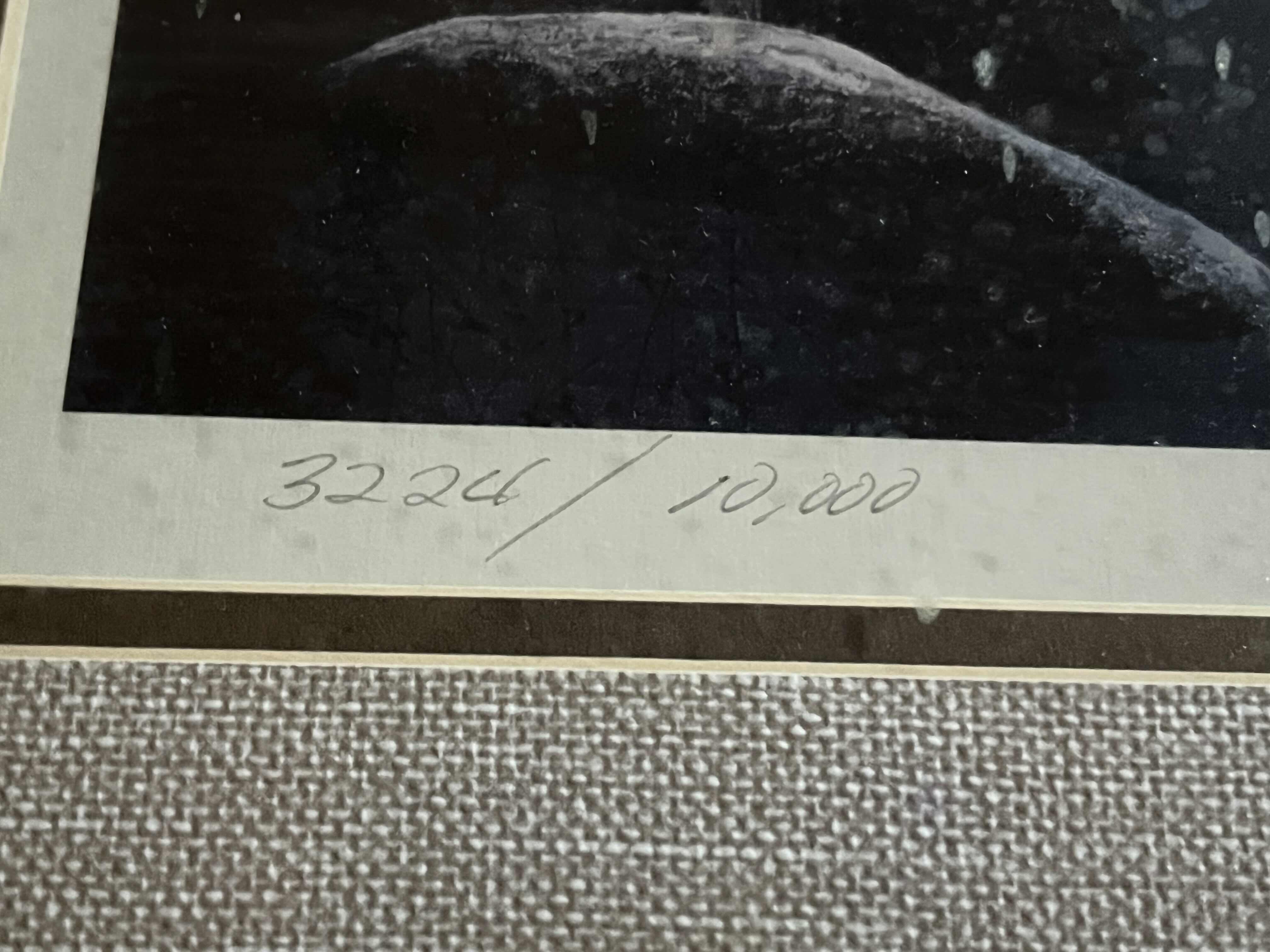 Photo 1 of REFLECTIONS FRAMED ARTWORK SIGNED BY JIM HANSEL 3224/10,000 31.5” X 23.5”