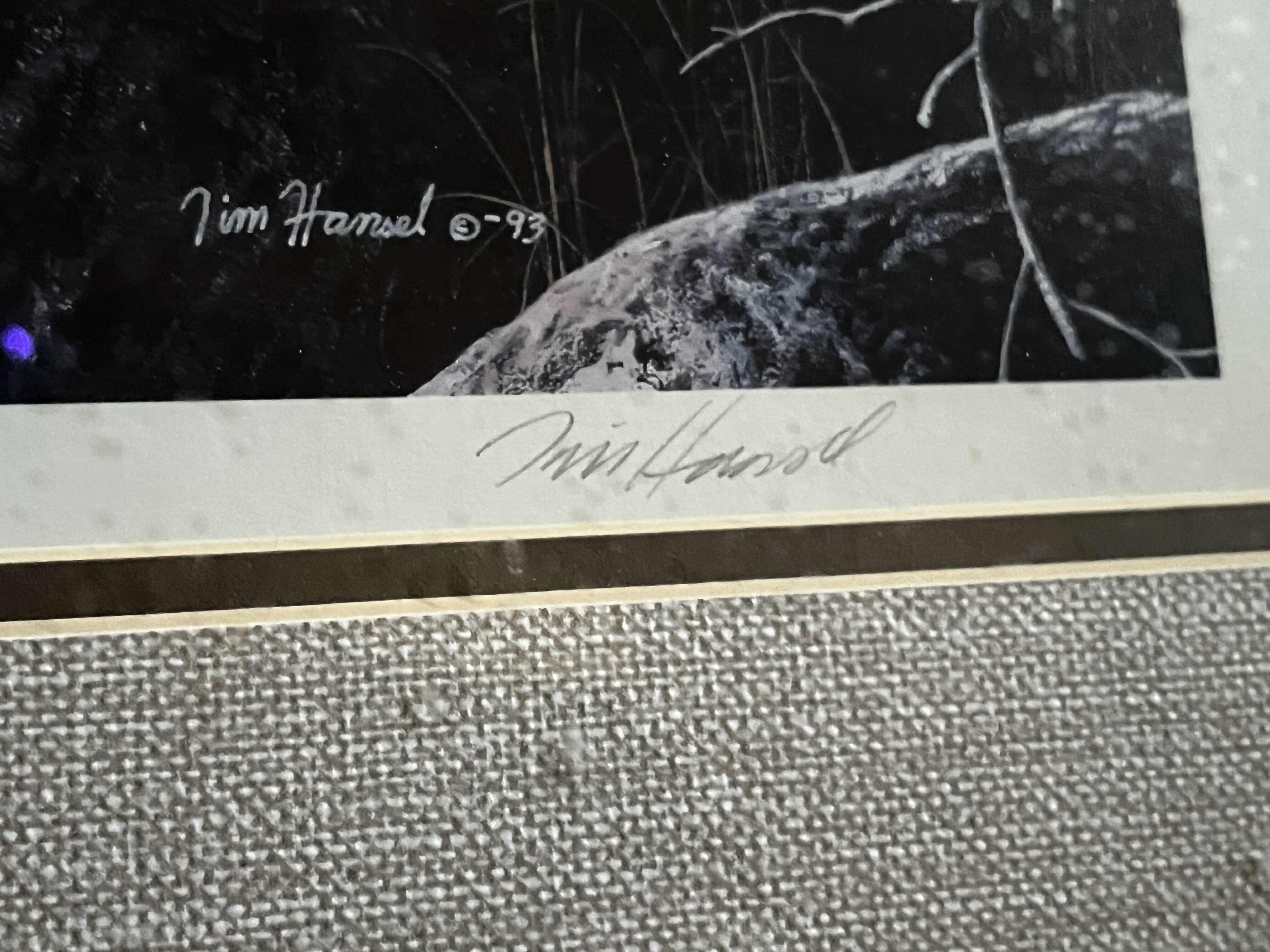 Photo 1 of REFLECTIONS FRAMED ARTWORK SIGNED BY JIM HANSEL 3224/10,000 31.5” X 23.5”