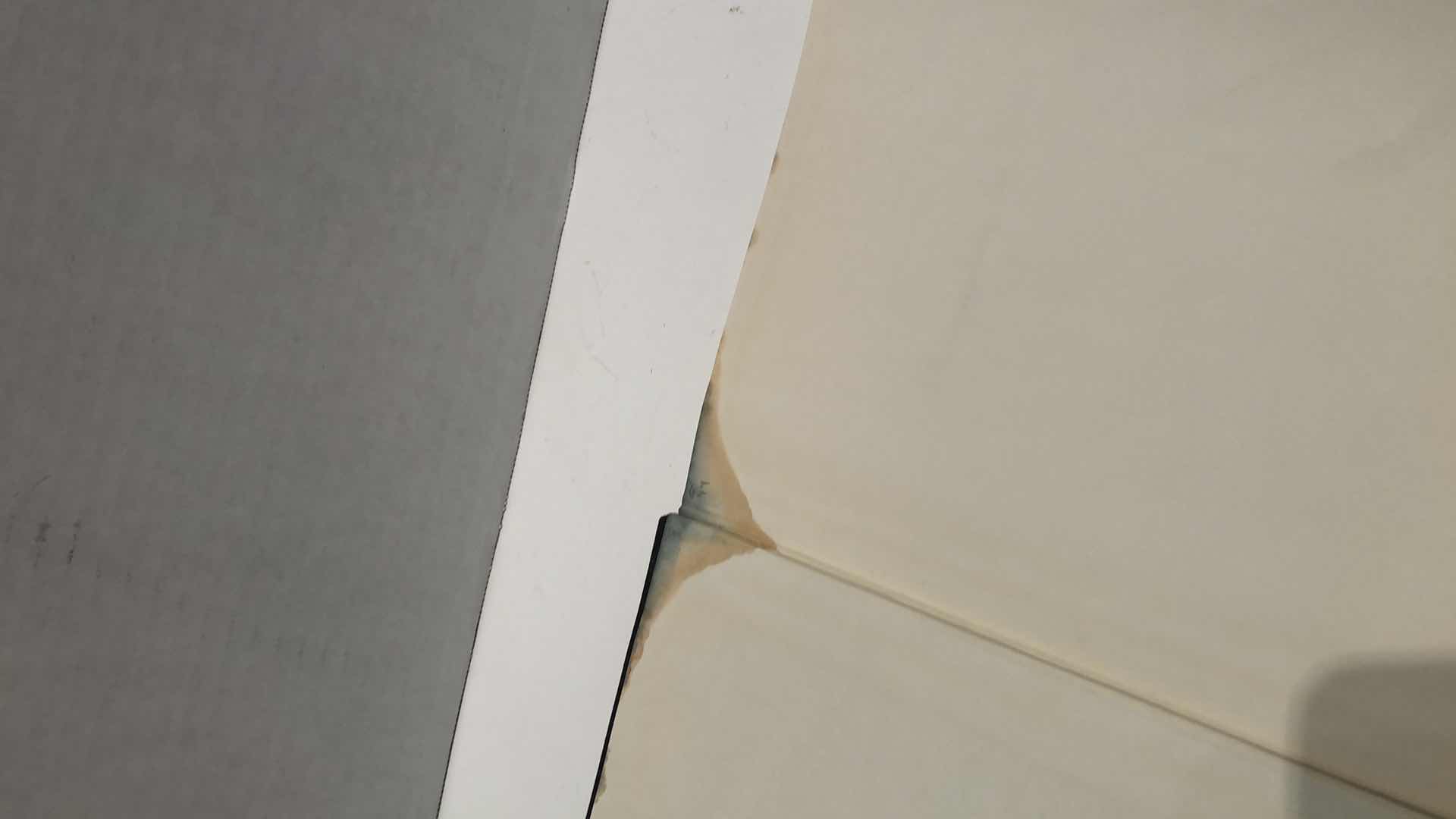 Photo 1 of PHOTOGRAPHING THE NUDE BY LEWIS FULCHIN BOOK