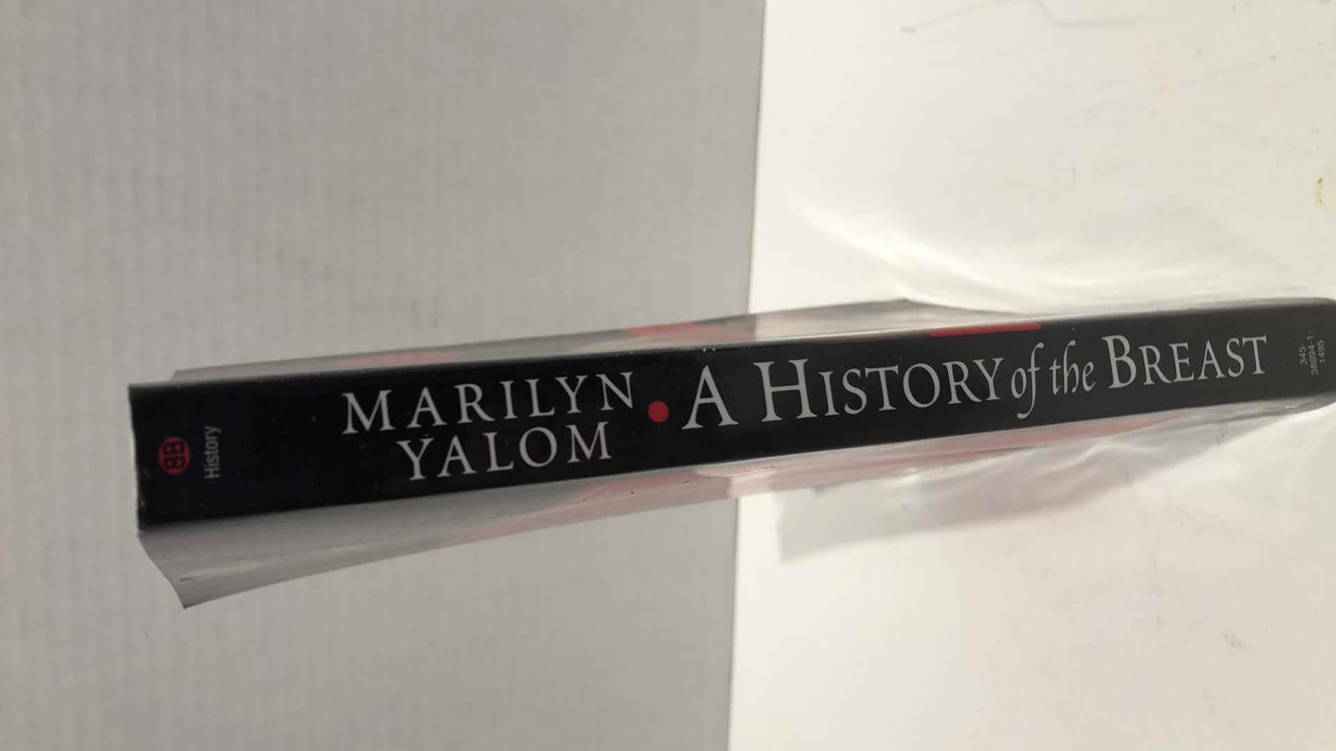 Photo 1 of A HISTORY OF THE BREST