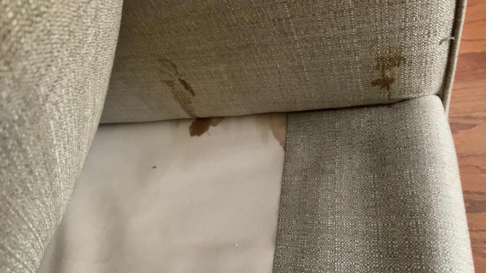 Photo 1 of ROOM & BOARD MORRISON CHAIR