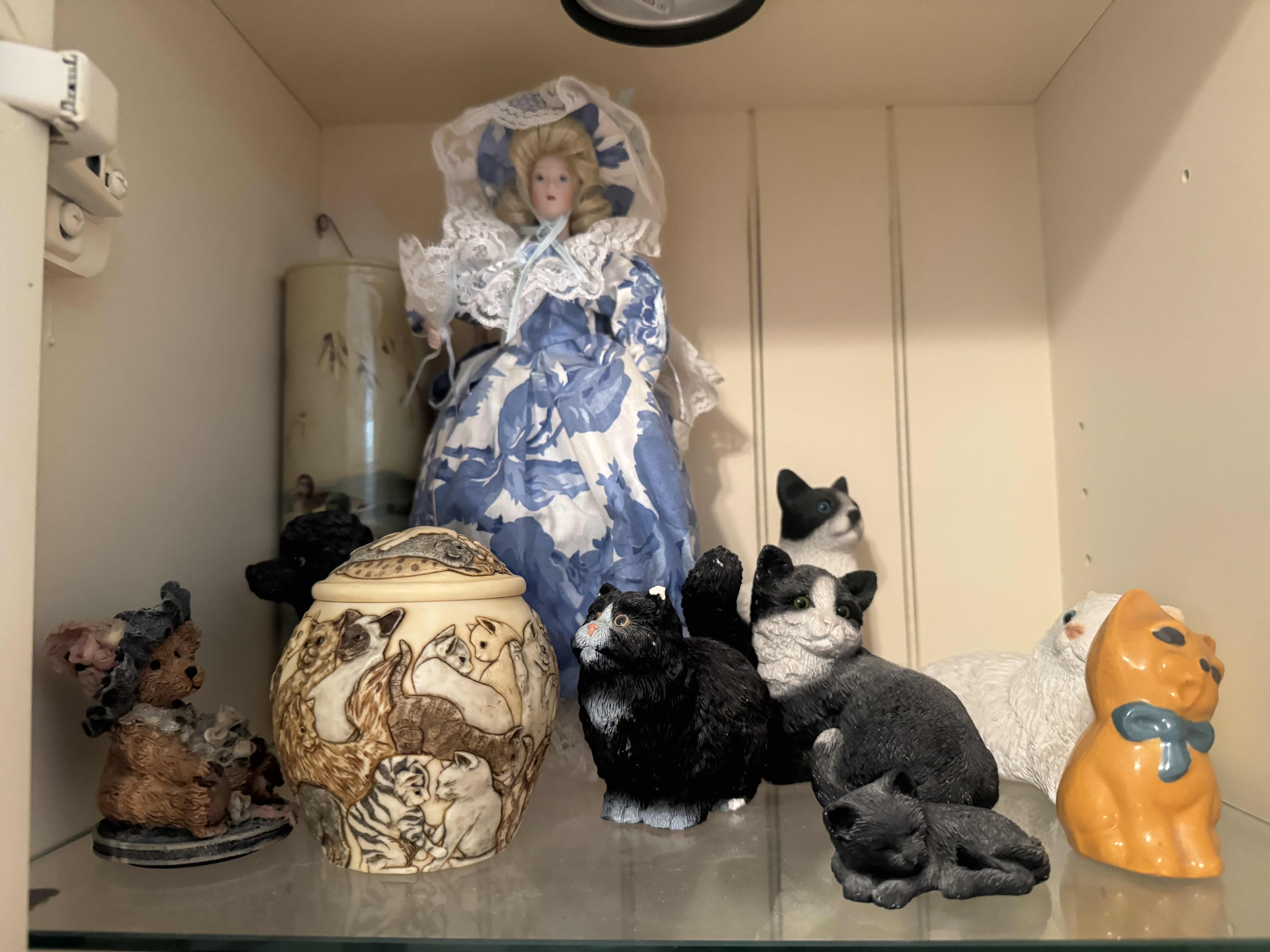 Photo 1 of SHELF OF CATS