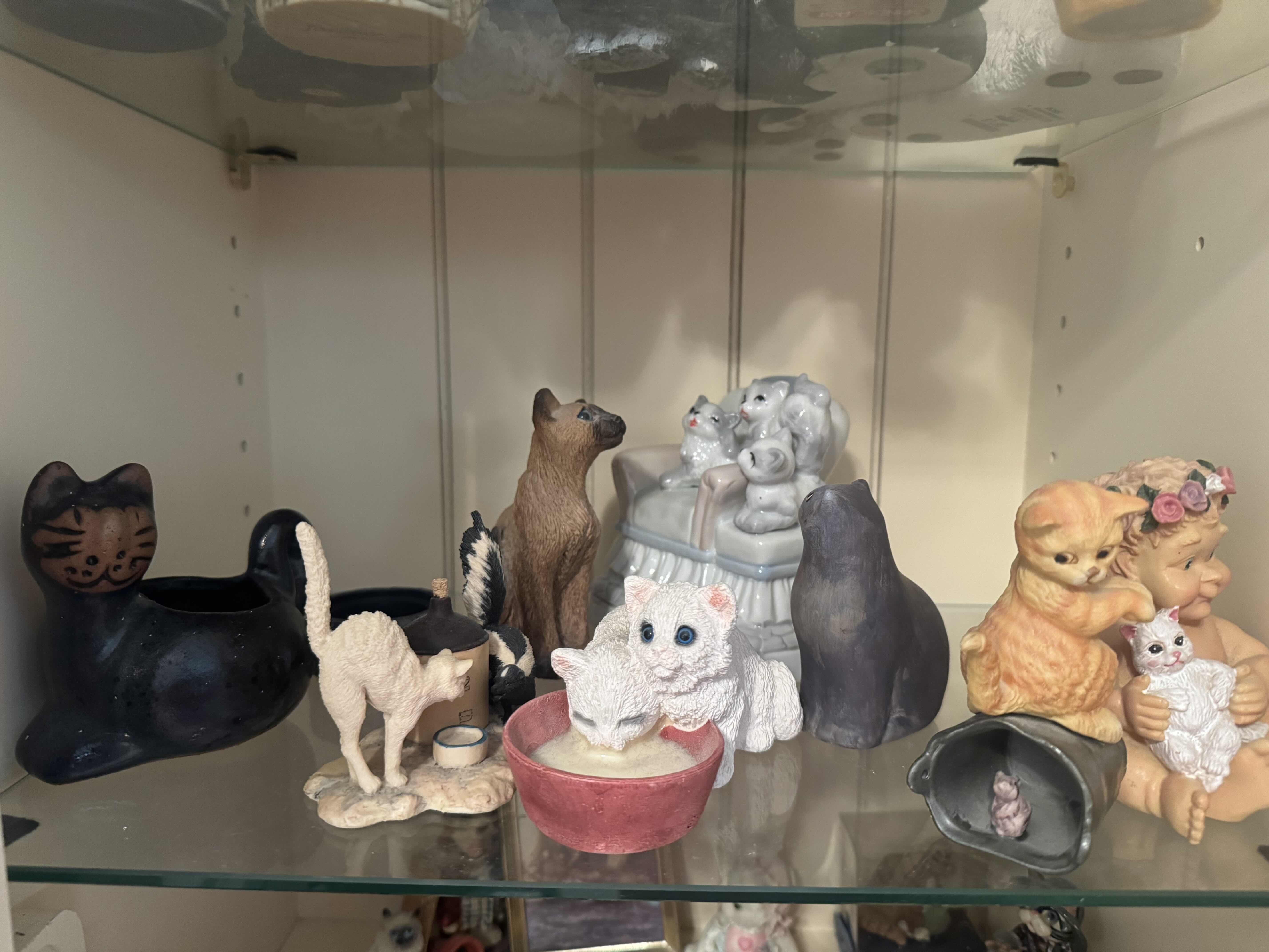 Photo 1 of SHELF OF CATS