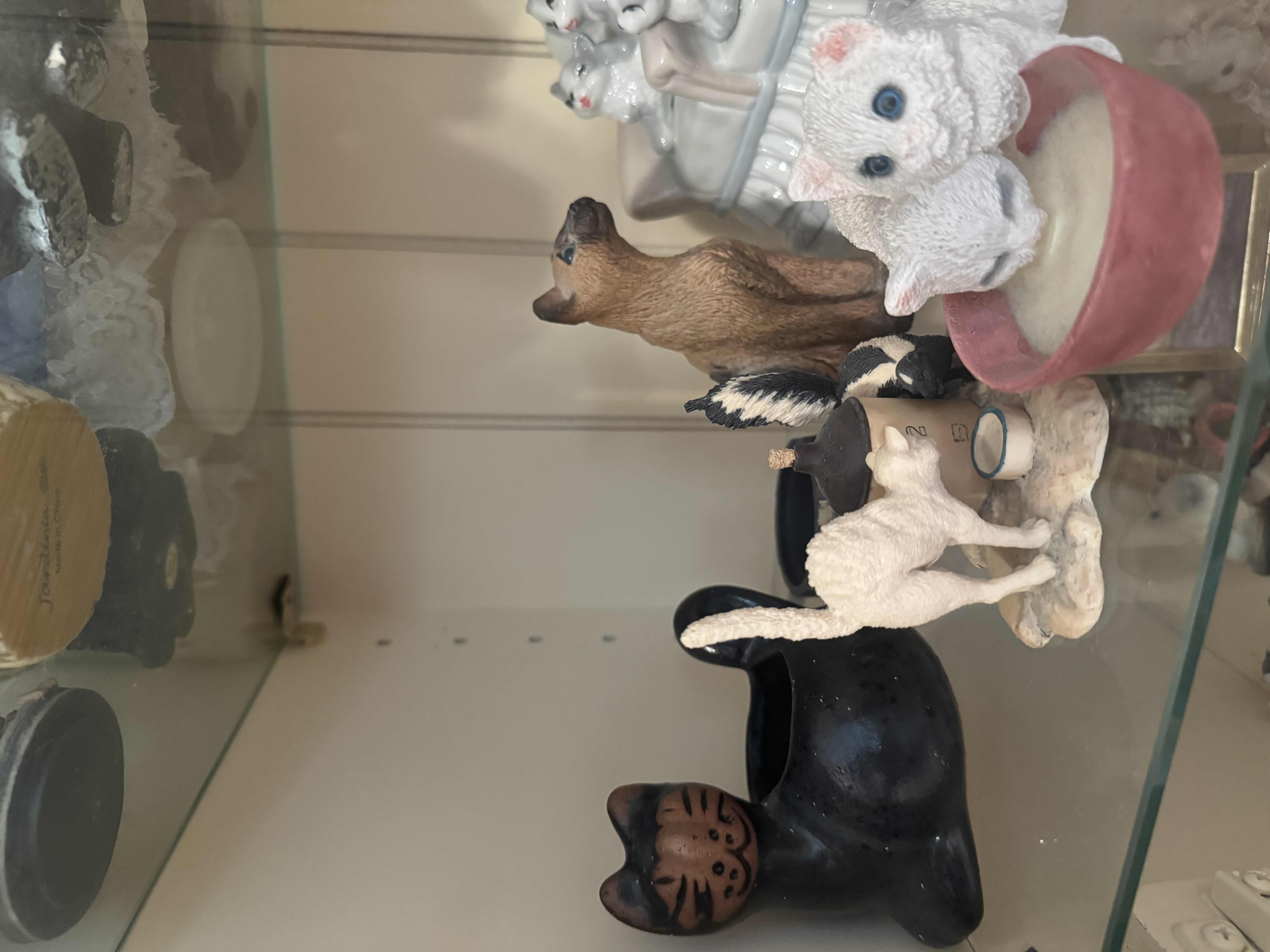 Photo 1 of SHELF OF CATS