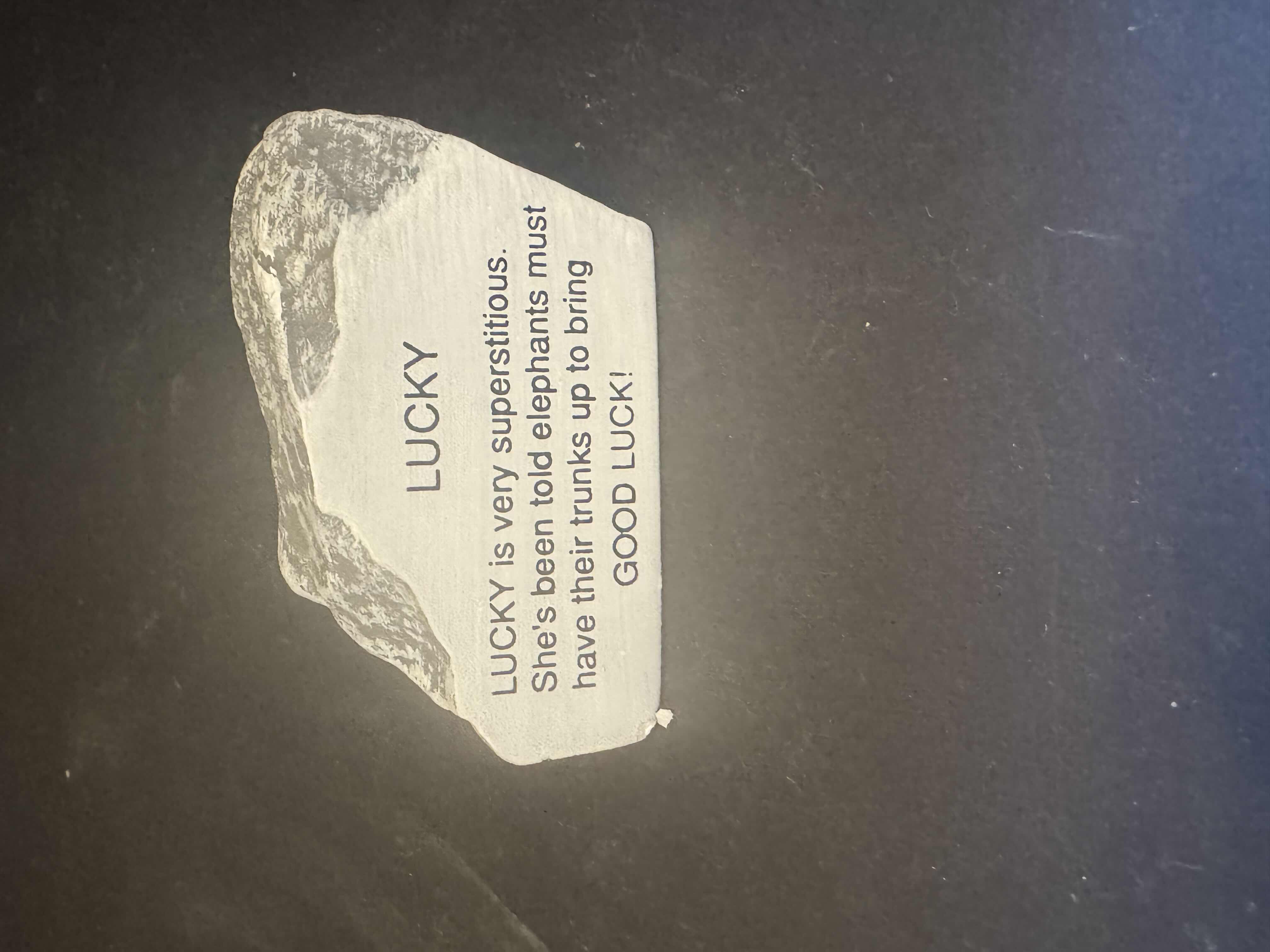 Photo 9 of COLLECTION OF ELEPHANTS WITH LUCKY STONE, RESIGN AND CERAMIC, 8 ITEMS

3.5” X H4”
4.5” X H4”
2.5” X H4.5”
3.5” X H3.5”
4.5” X H4”
3”  X H2.5”
3” X H2”

STONE
3” X H1.5”
