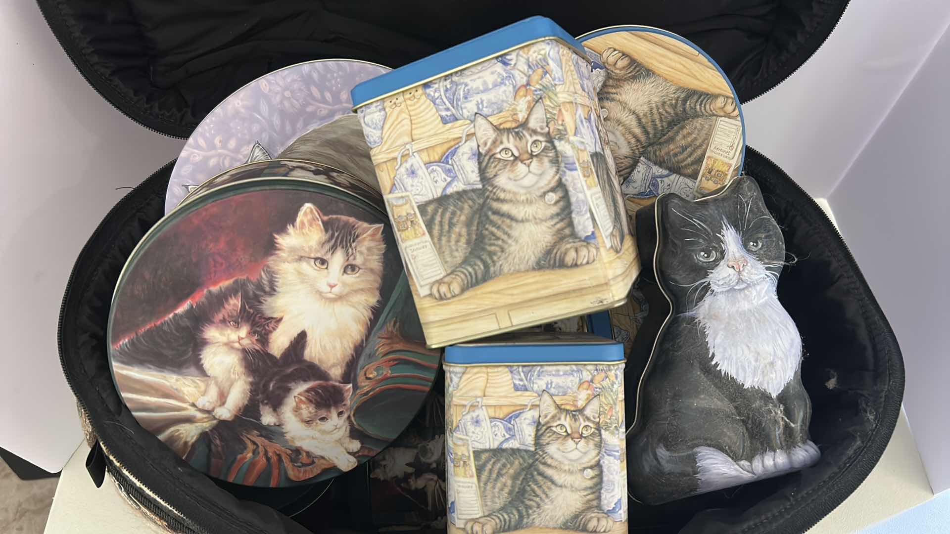 Photo 1 of SOFTSIDE EMBROIDERY CAT CASE W ASSORTED CAT TINS