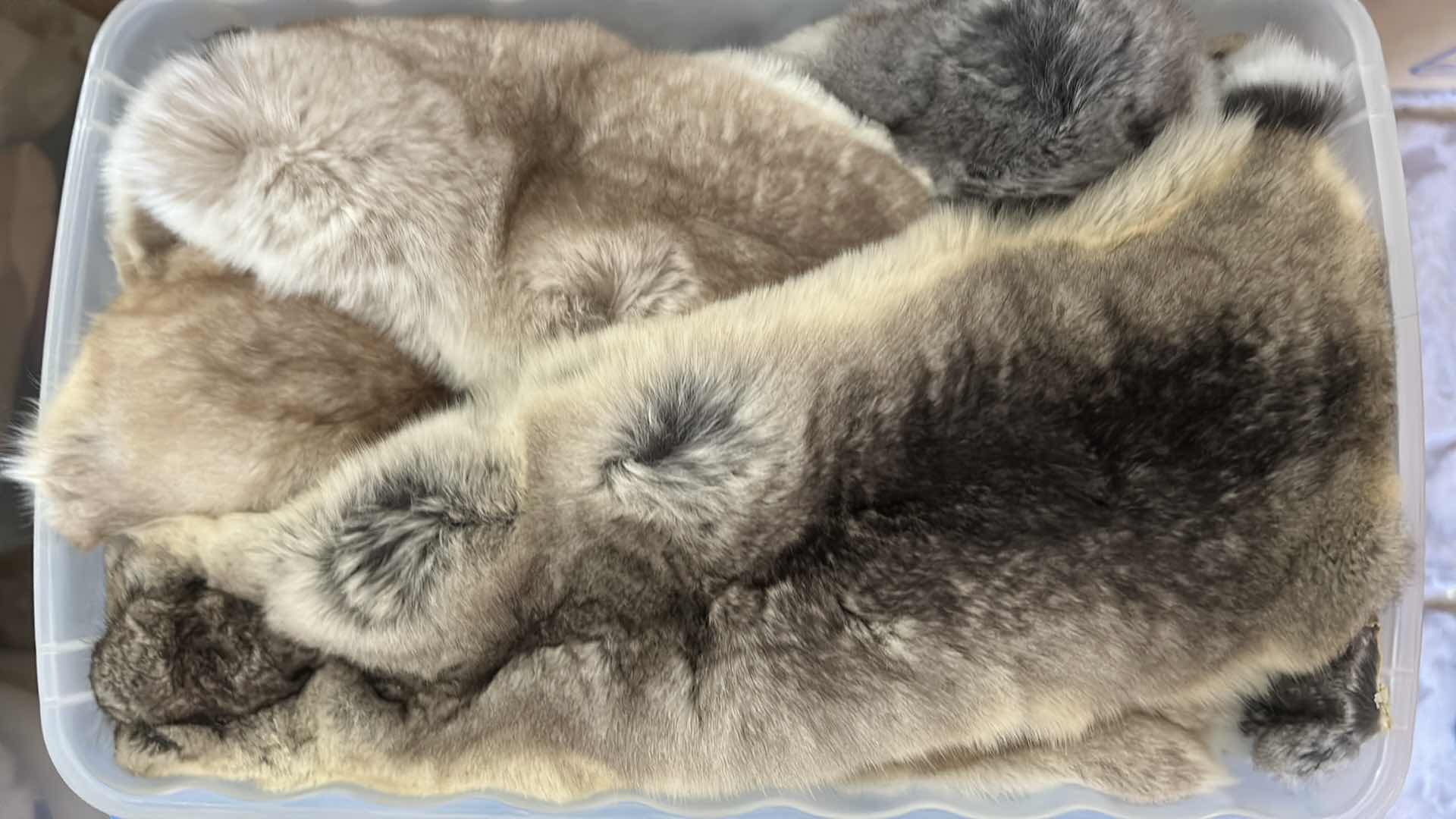 Photo 1 of 4- CONTAINERS CRAFTING SUPPLIES