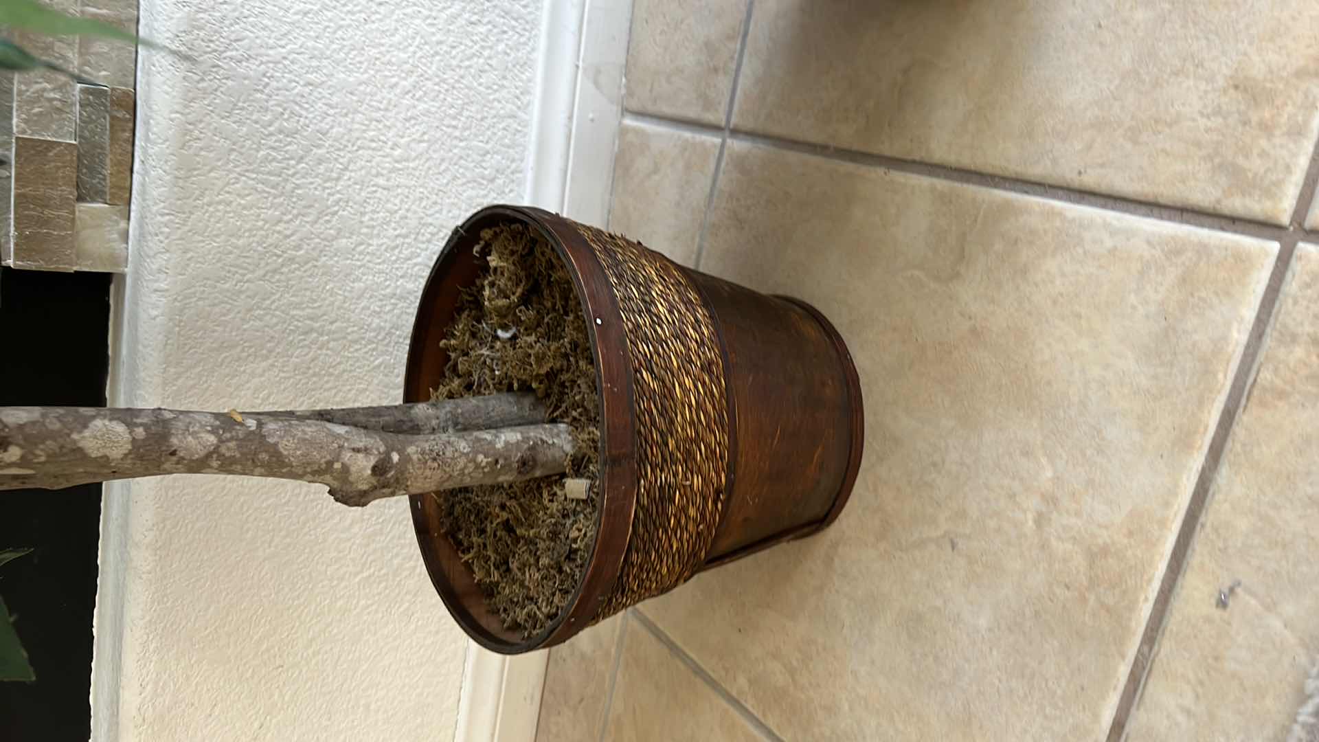 Photo 1 of 2-4' FAUX FICUS TREES IN POTTED BASKETS