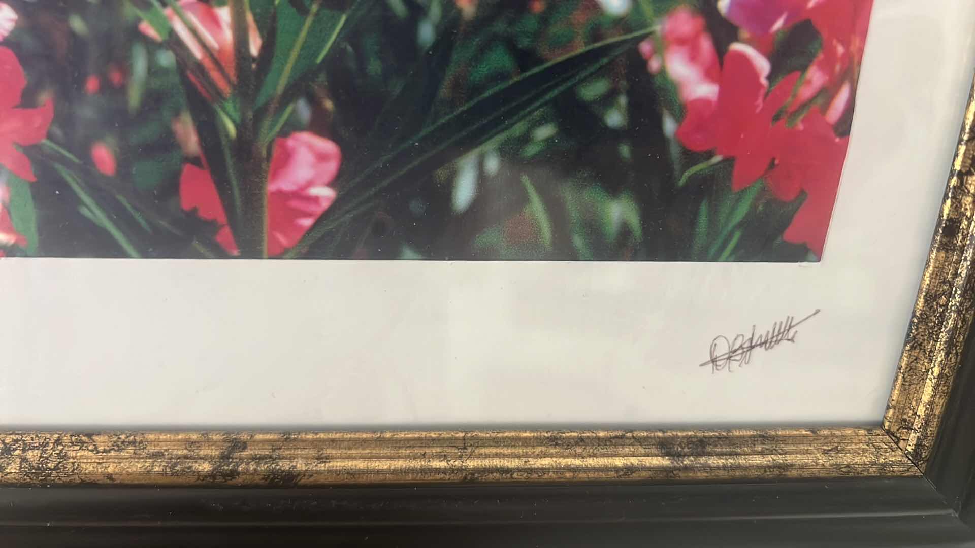 Photo 1 of 3-FRAMED FLORAL PRINTS SIGNED 12" x 10"