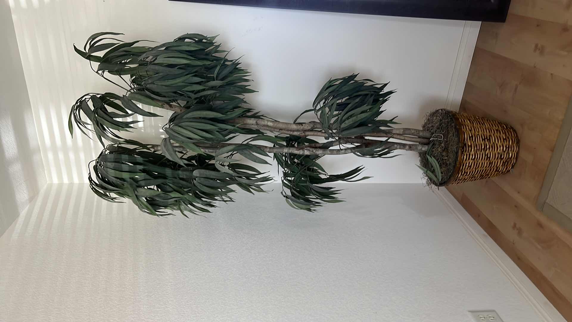 Photo 1 of 6' FAUX TREE IN BASKET