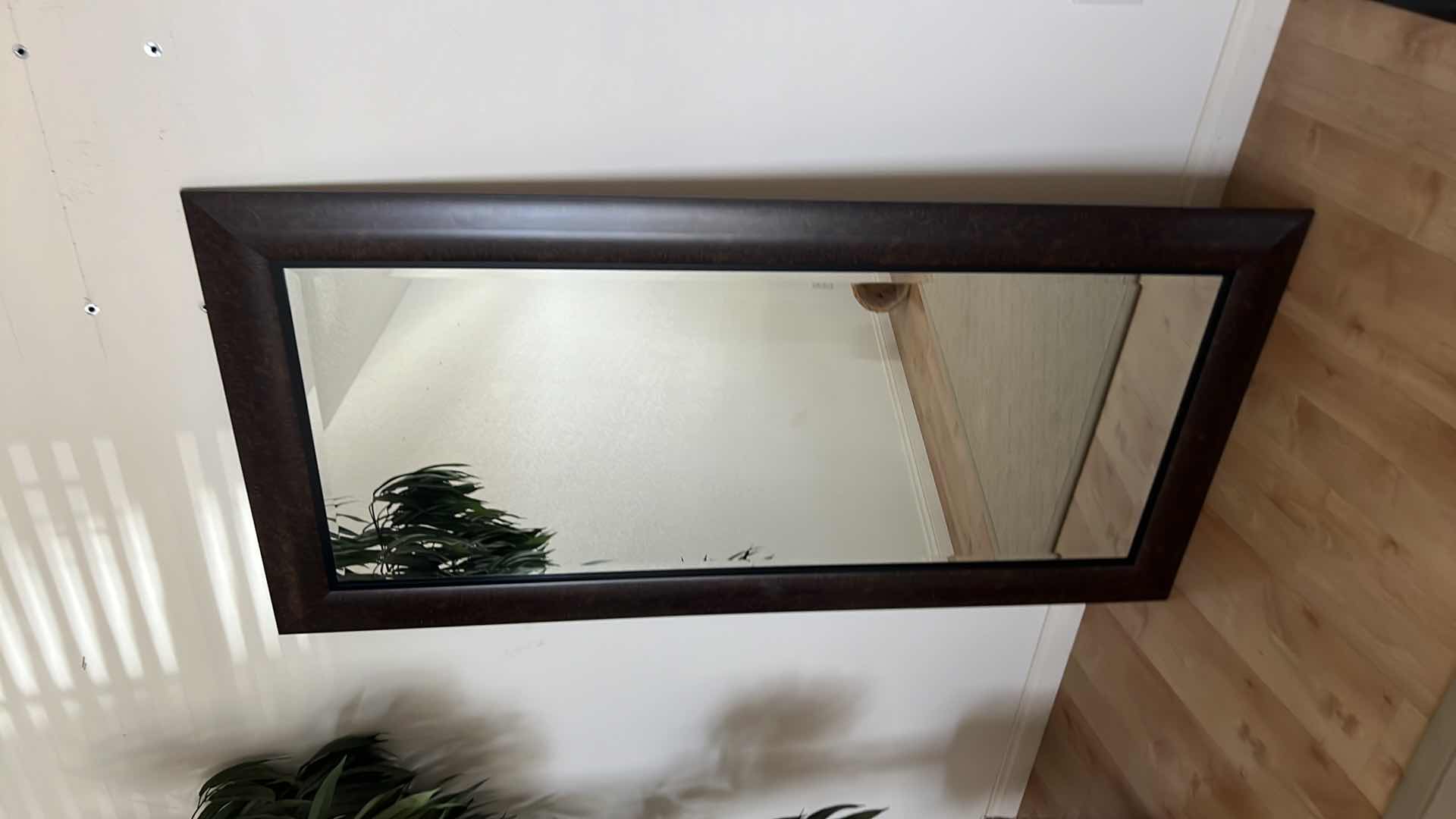 Photo 1 of BROWN PLASTIC FRAMED TALL MIRROR 33" x 66"