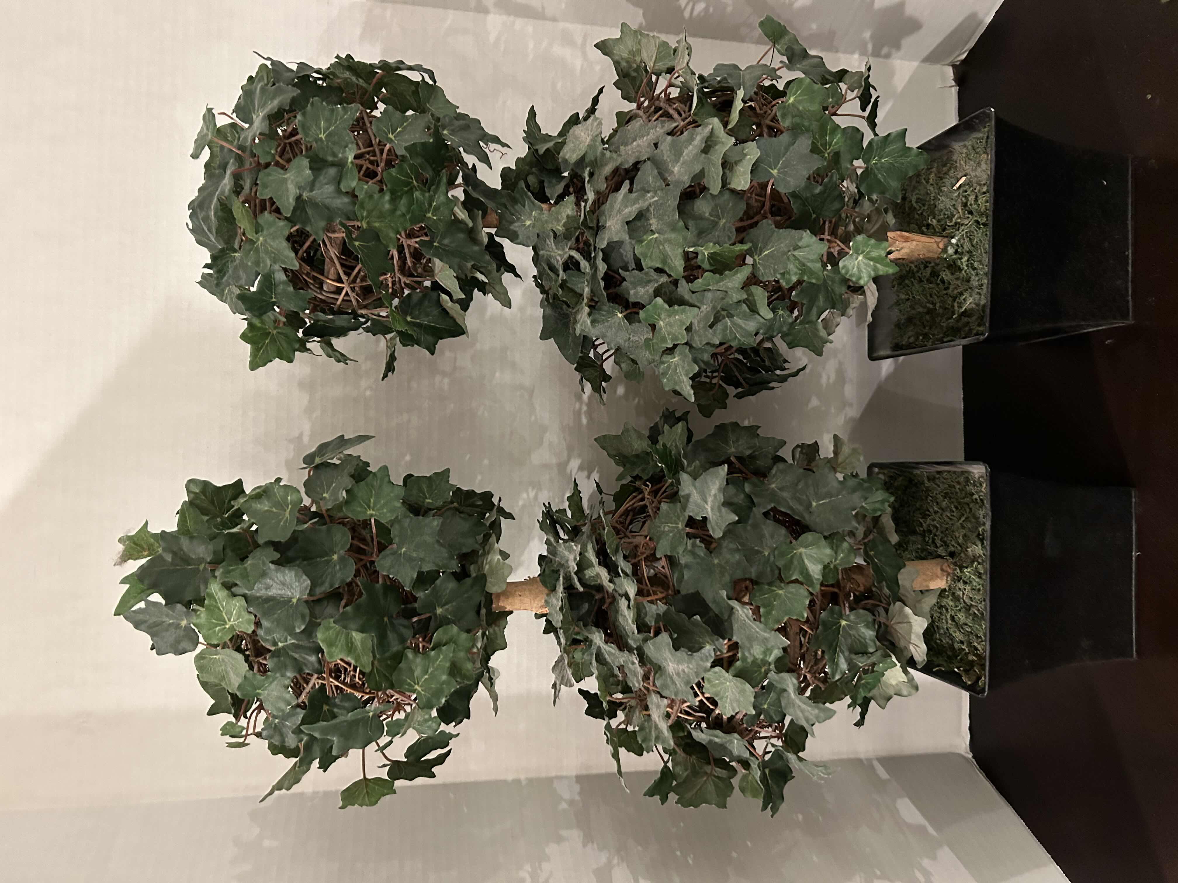 Photo 1 of 2- 26” TOPIARIES IN METAL POTS