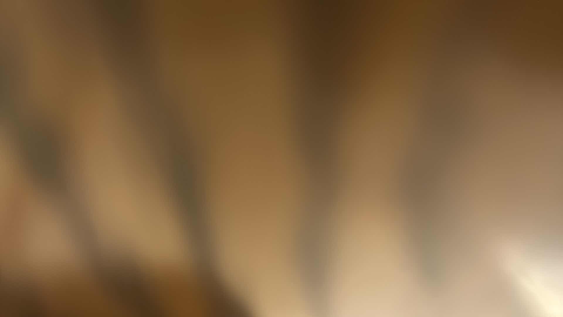 Photo 1 of 5 NEW CASINO POLO SHIRTS SIZE L