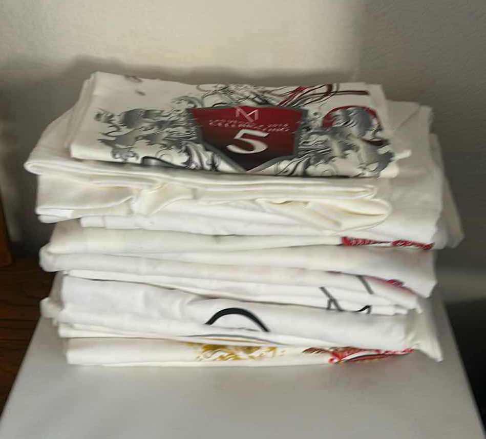 Photo 1 of 15 MENS TEES SIZE L/XL