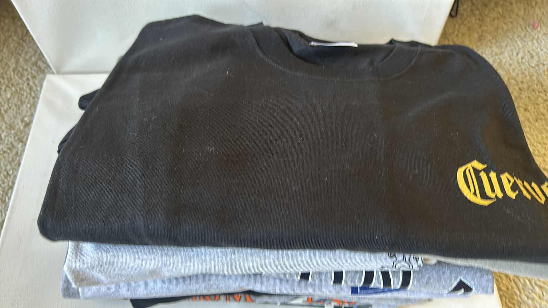 Photo 1 of 14 MENS LARGE & EXTRA LARGE TEE SHIRTS