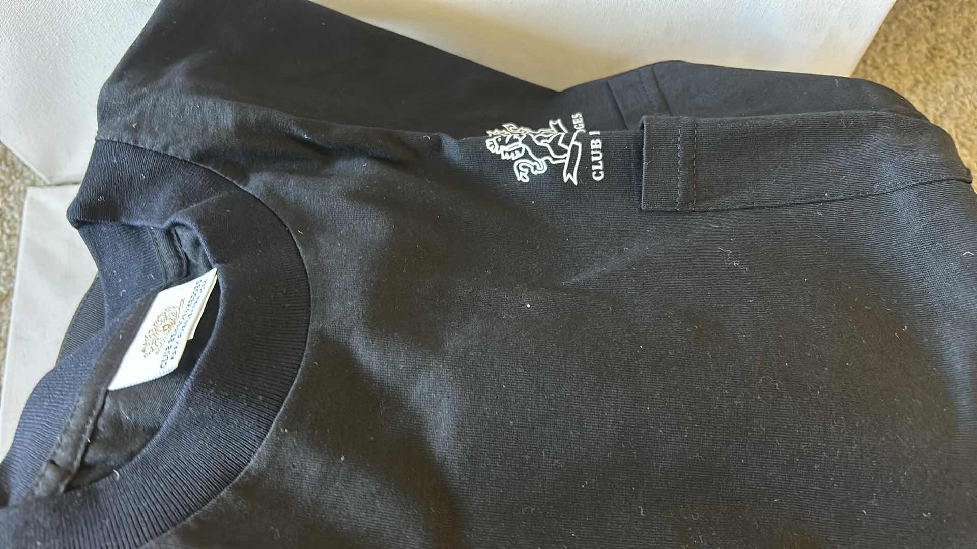 Photo 1 of 14 MENS LARGE & EXTRA LARGE TEE SHIRTS