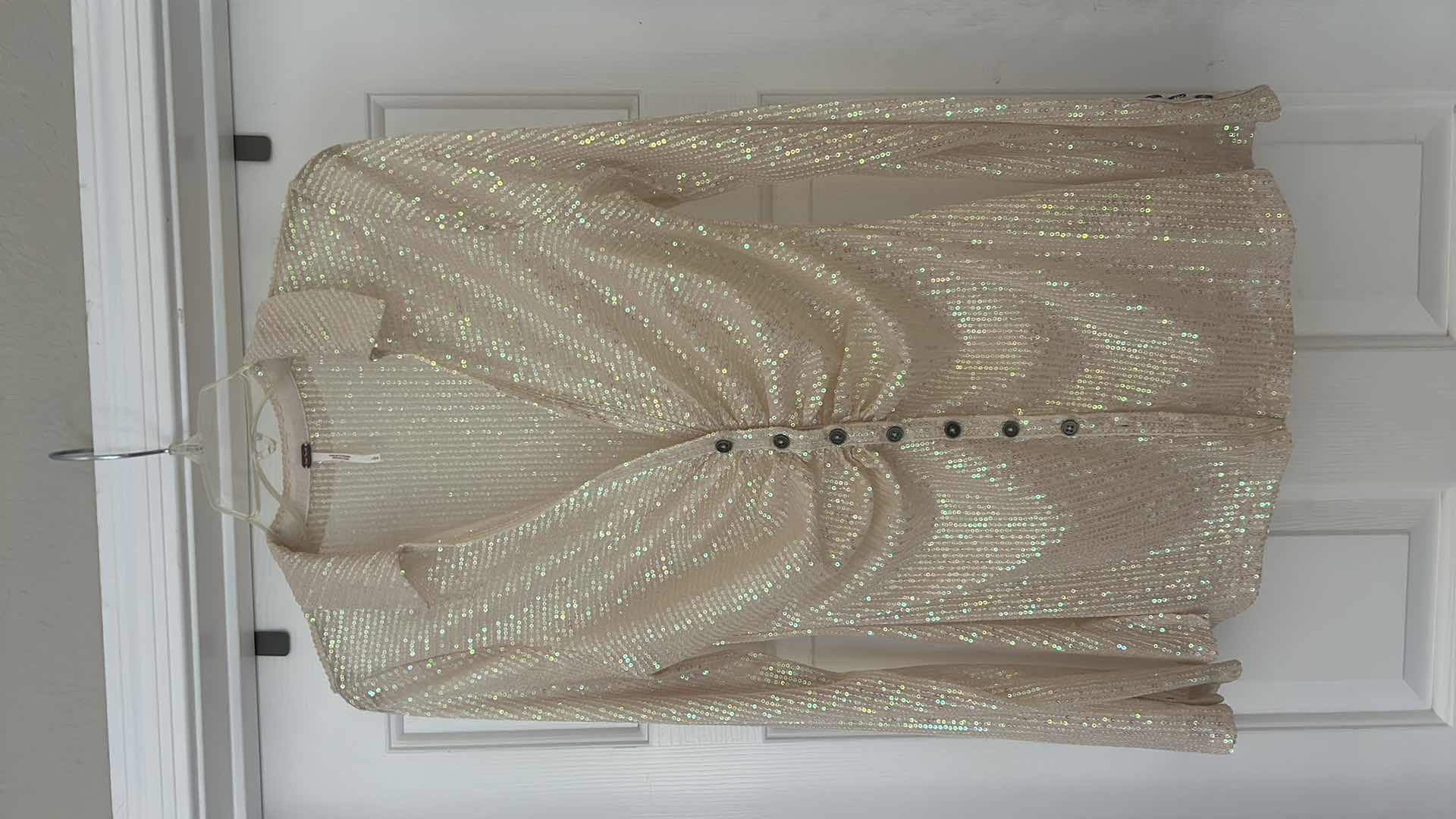 Photo 1 of 2 - WOMENS BLOUSES SIZE LARGE - FREE PEOPLE AND PALETTE