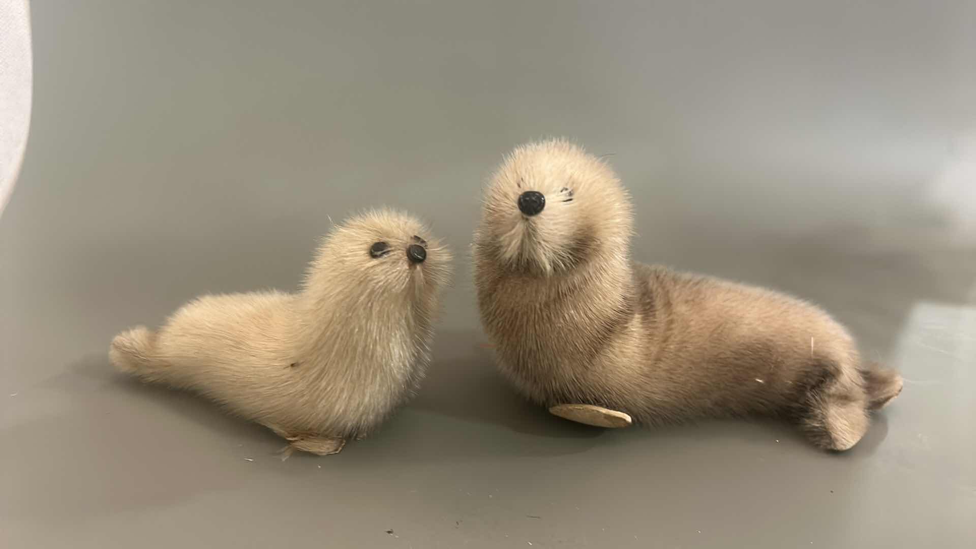 Photo 1 of LEATHER AND FUR SEA LION FAMILY LARGEST 6” X H 4”