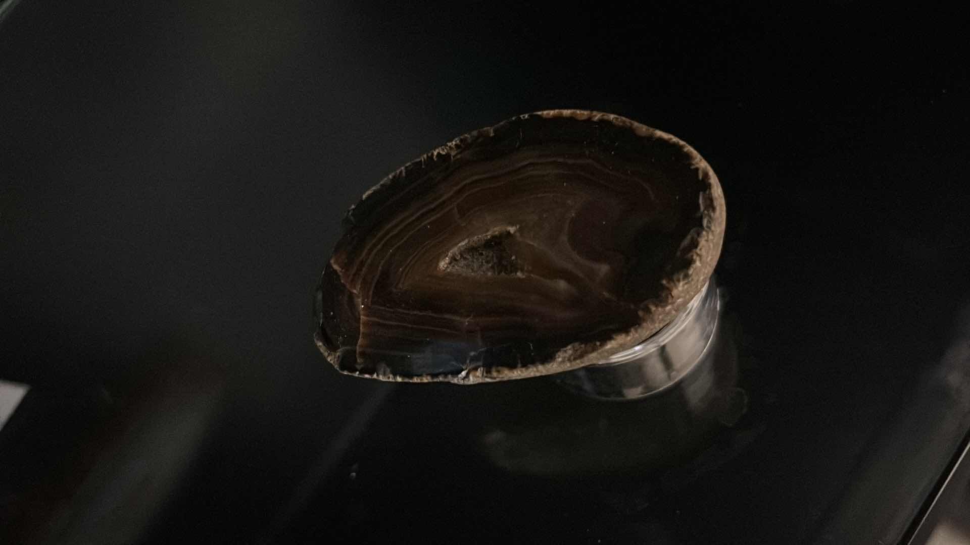 Photo 5 of 4 ROCK SPECIMENS (LARGEST 5”)