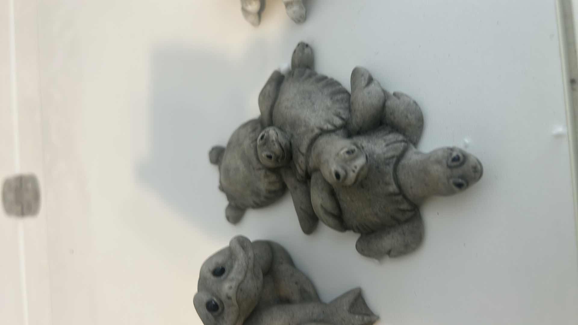 Photo 1 of 4 - LITTLE COLLECTIBLE CRITTERS, TURTLES AND  (LARGEST 4” x 2”