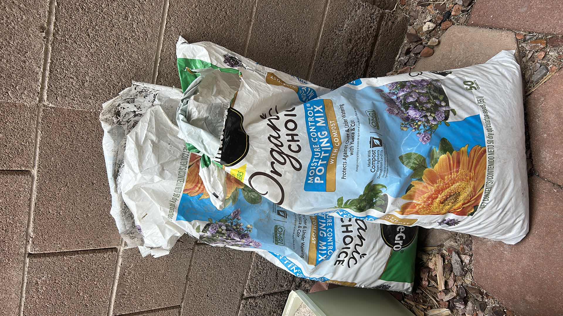 Photo 1 of 5 OUTDOOR POTS H14”, 3 ALOE PLANTS, POTTING MIX