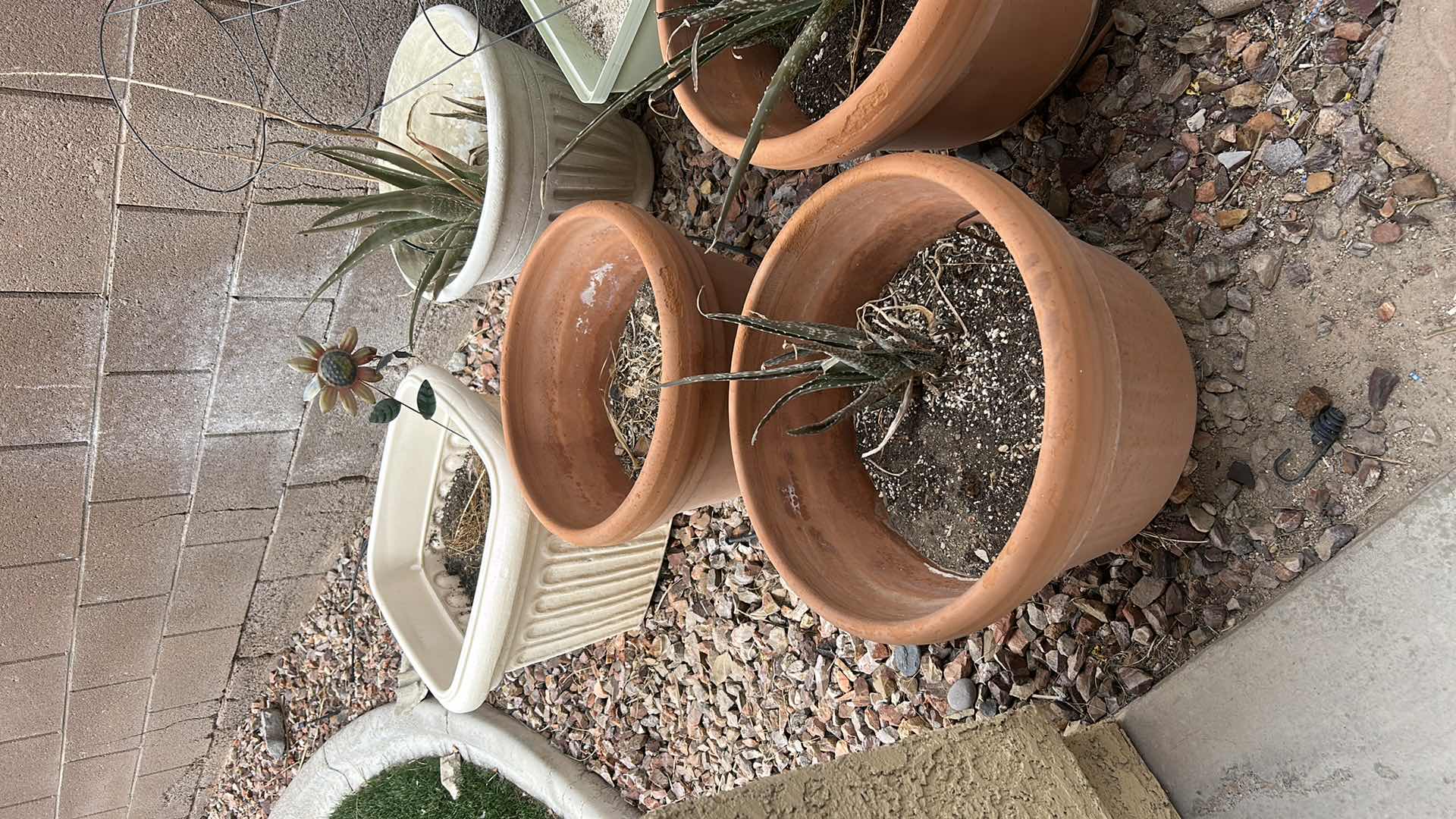 Photo 1 of 5 OUTDOOR POTS H14”, 3 ALOE PLANTS, POTTING MIX