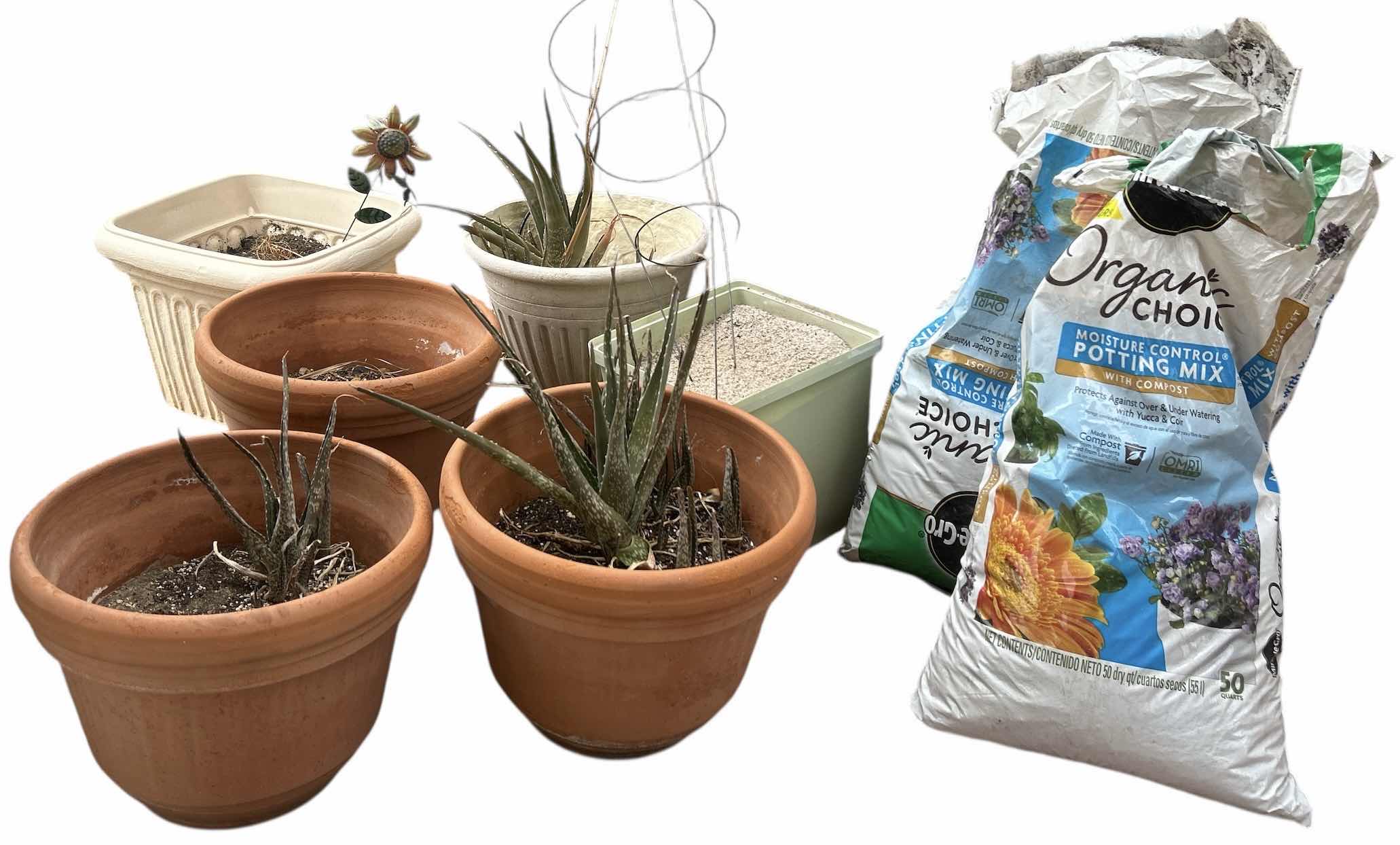 Photo 1 of 5 OUTDOOR POTS H14”, 3 ALOE PLANTS, POTTING MIX