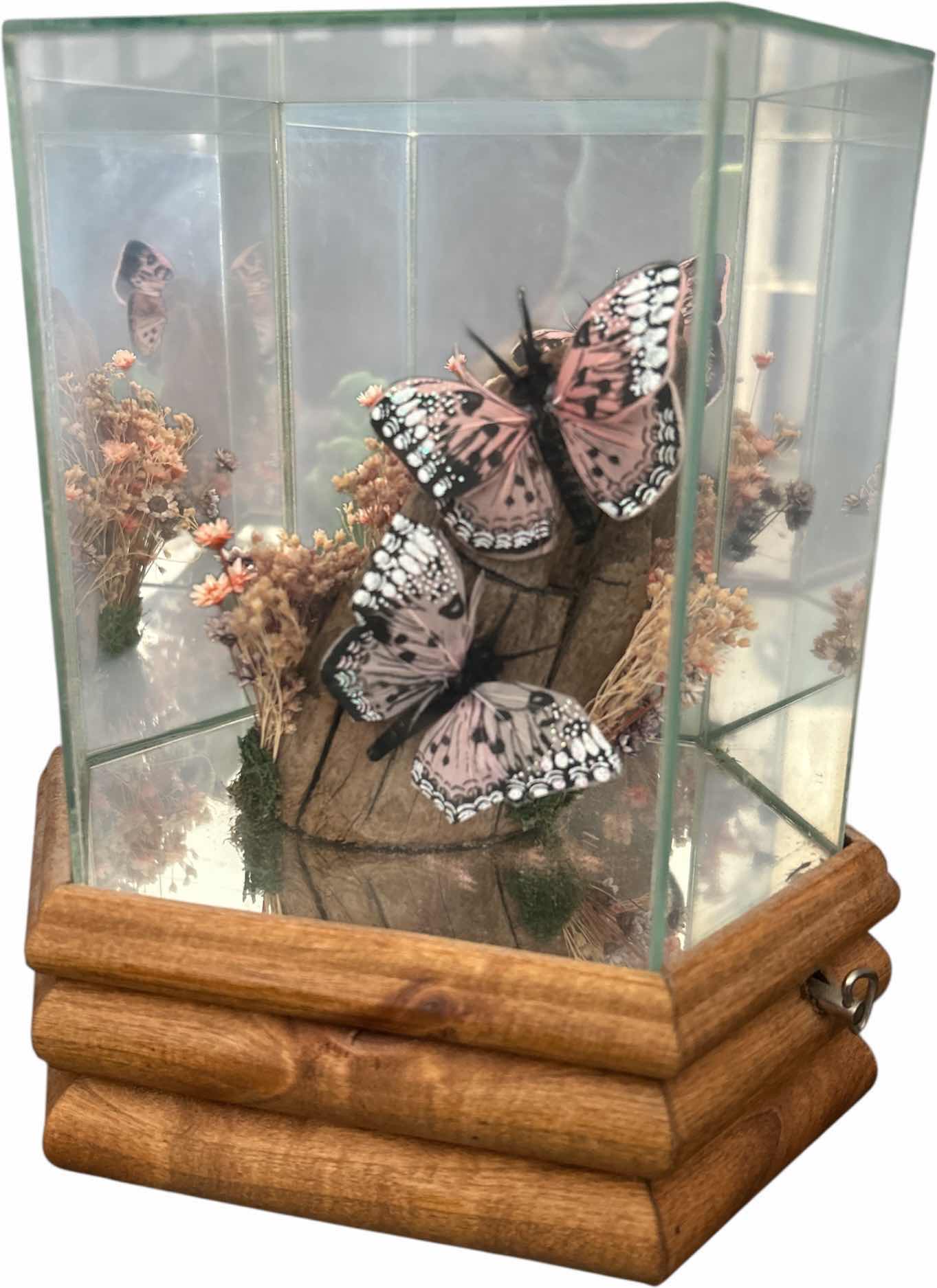 Photo 1 of BUTTERFLY MUSIC BOX H 8.5”