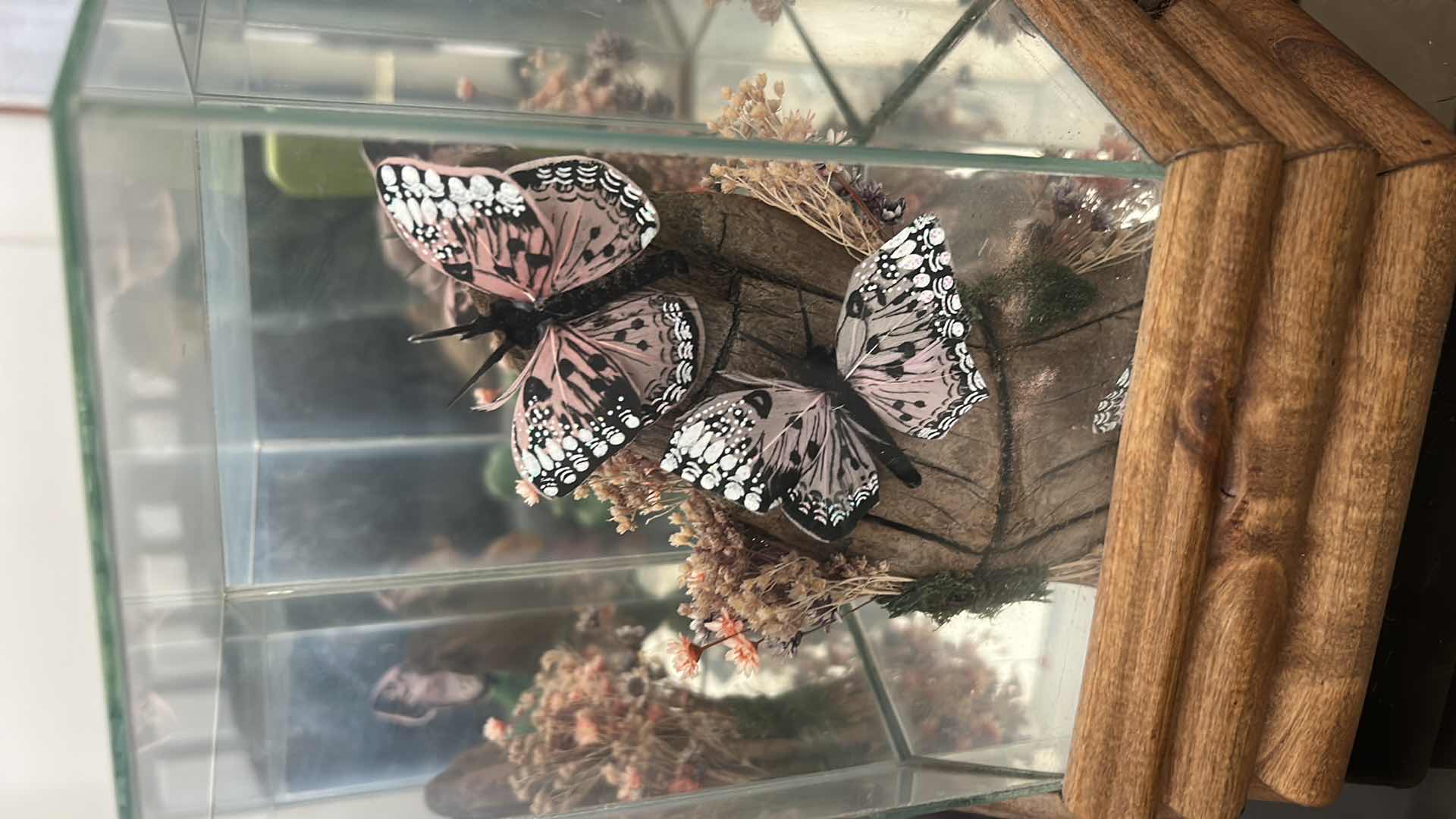 Photo 1 of BUTTERFLY MUSIC BOX H 8.5”