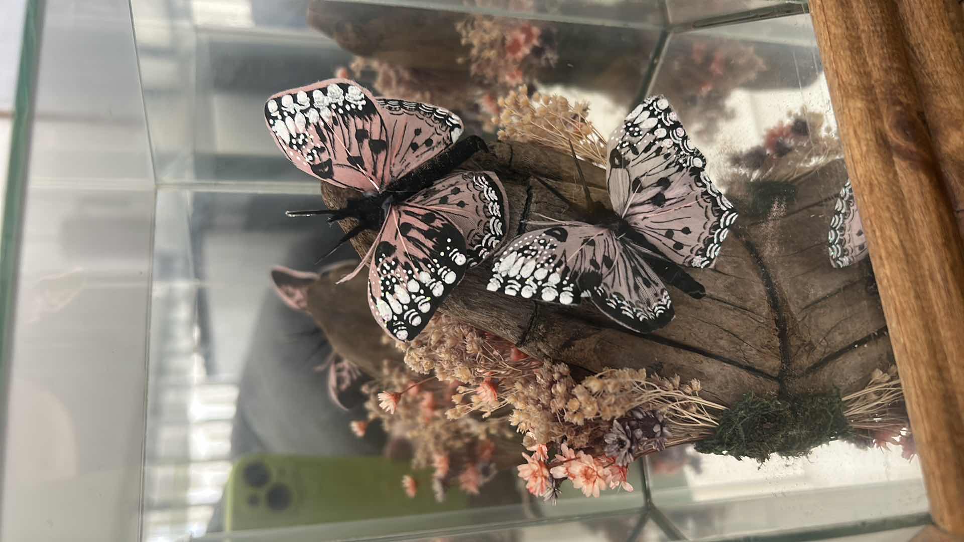 Photo 1 of BUTTERFLY MUSIC BOX H 8.5”